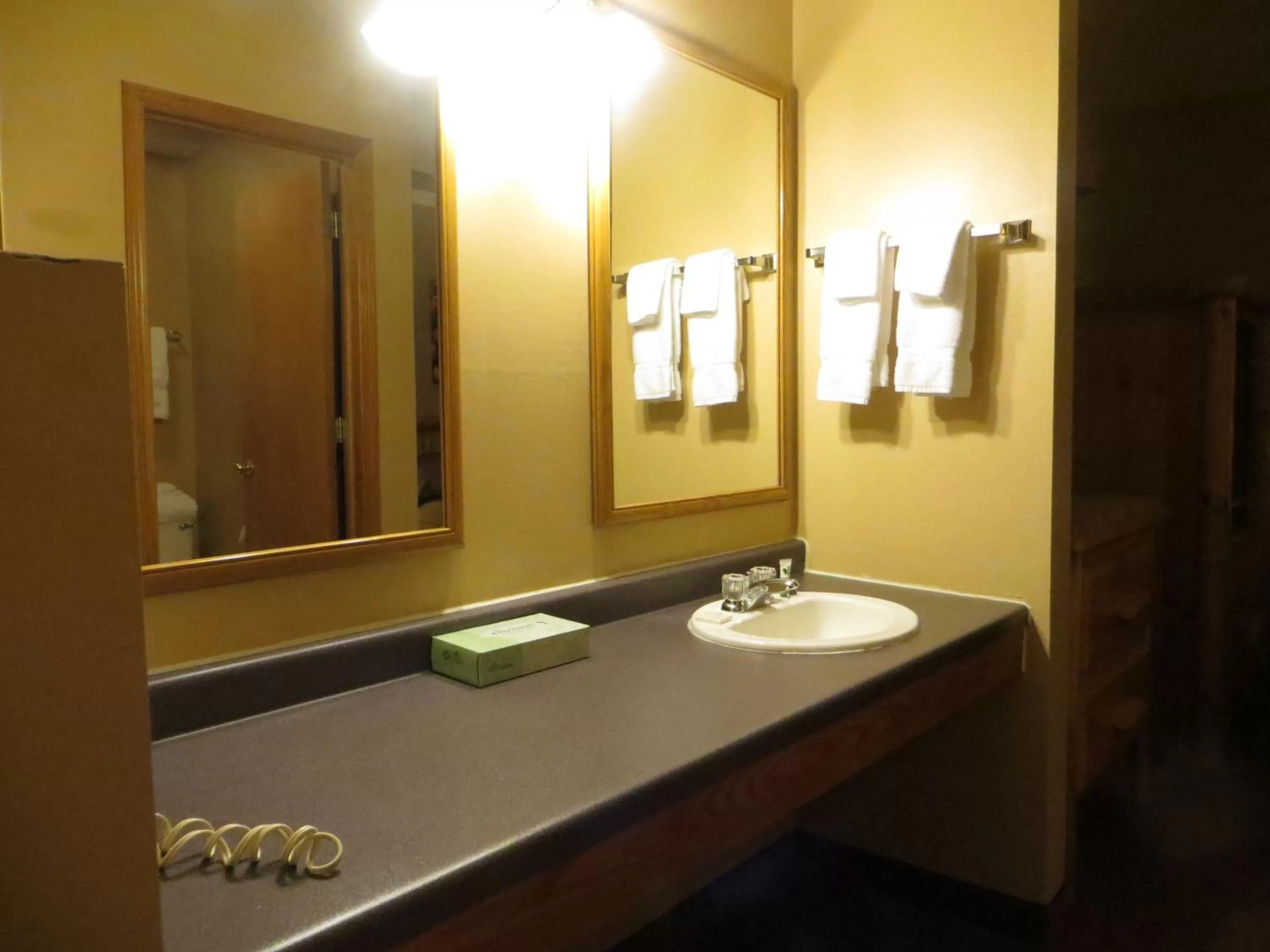 Bathroom in Cranberry Country Lodge