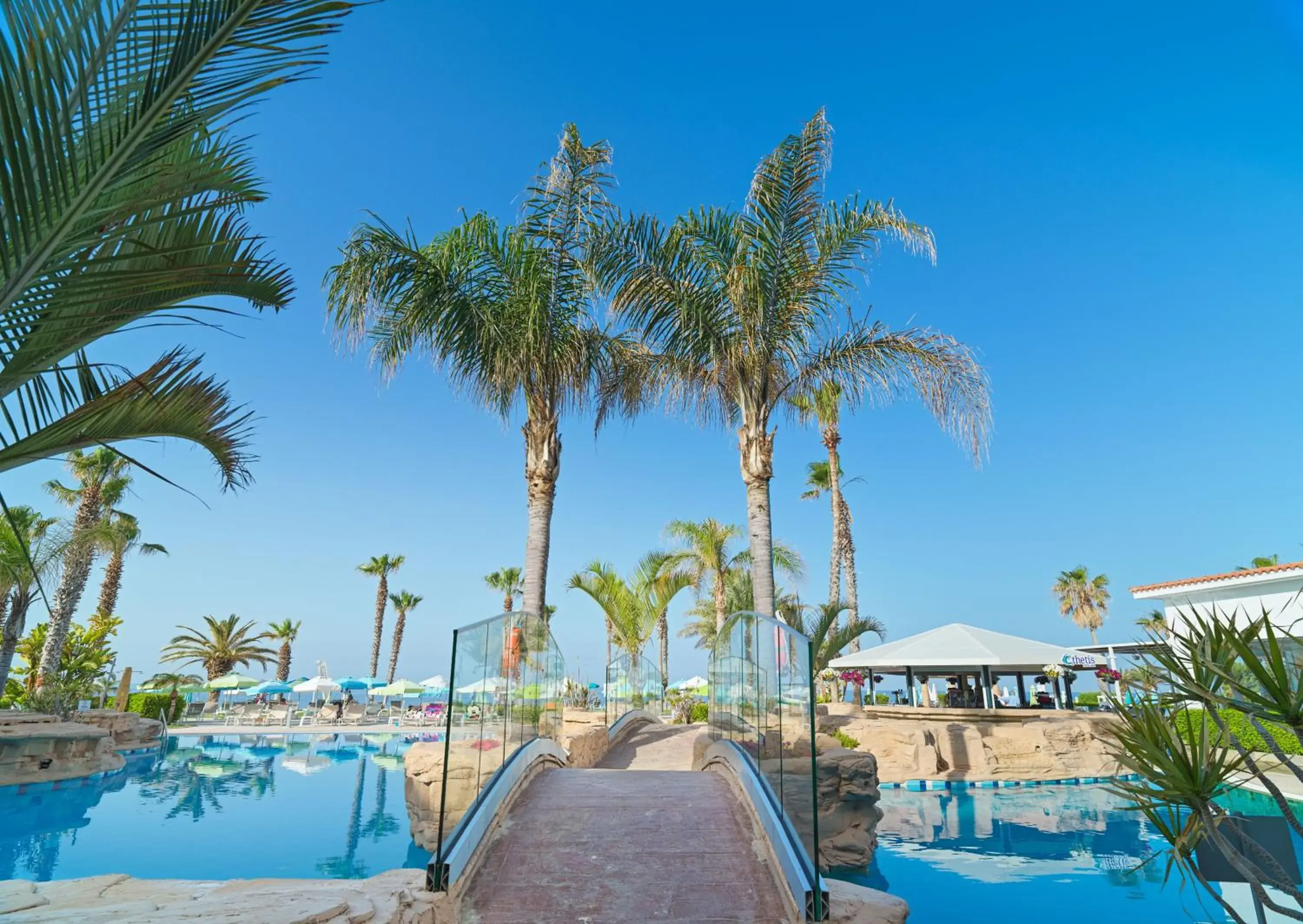 Pool view, Swimming Pool in Leonardo Cypria Bay