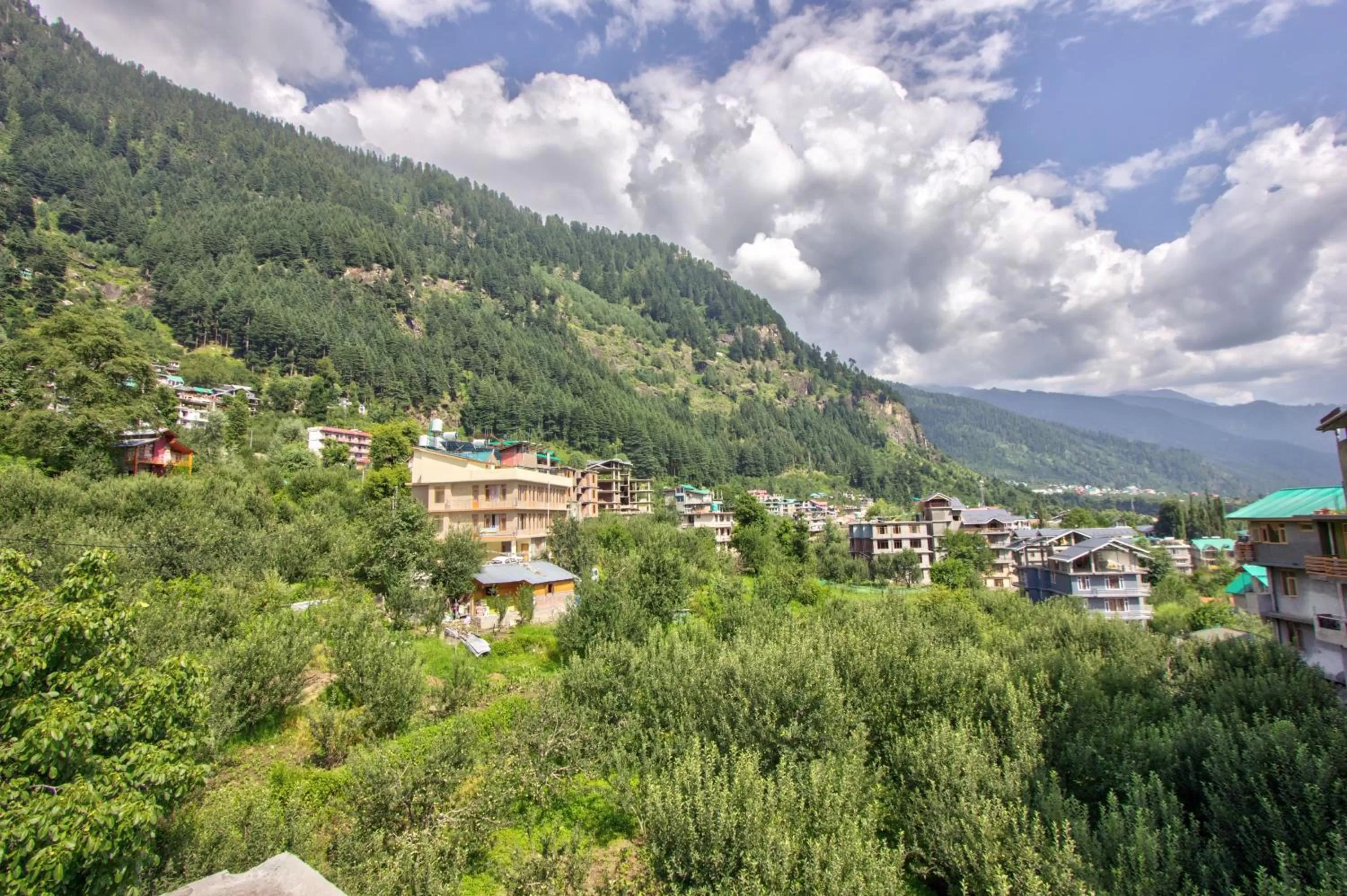 Natural landscape in Woodstock Inn Manali 800 Mtrs from Mall Road