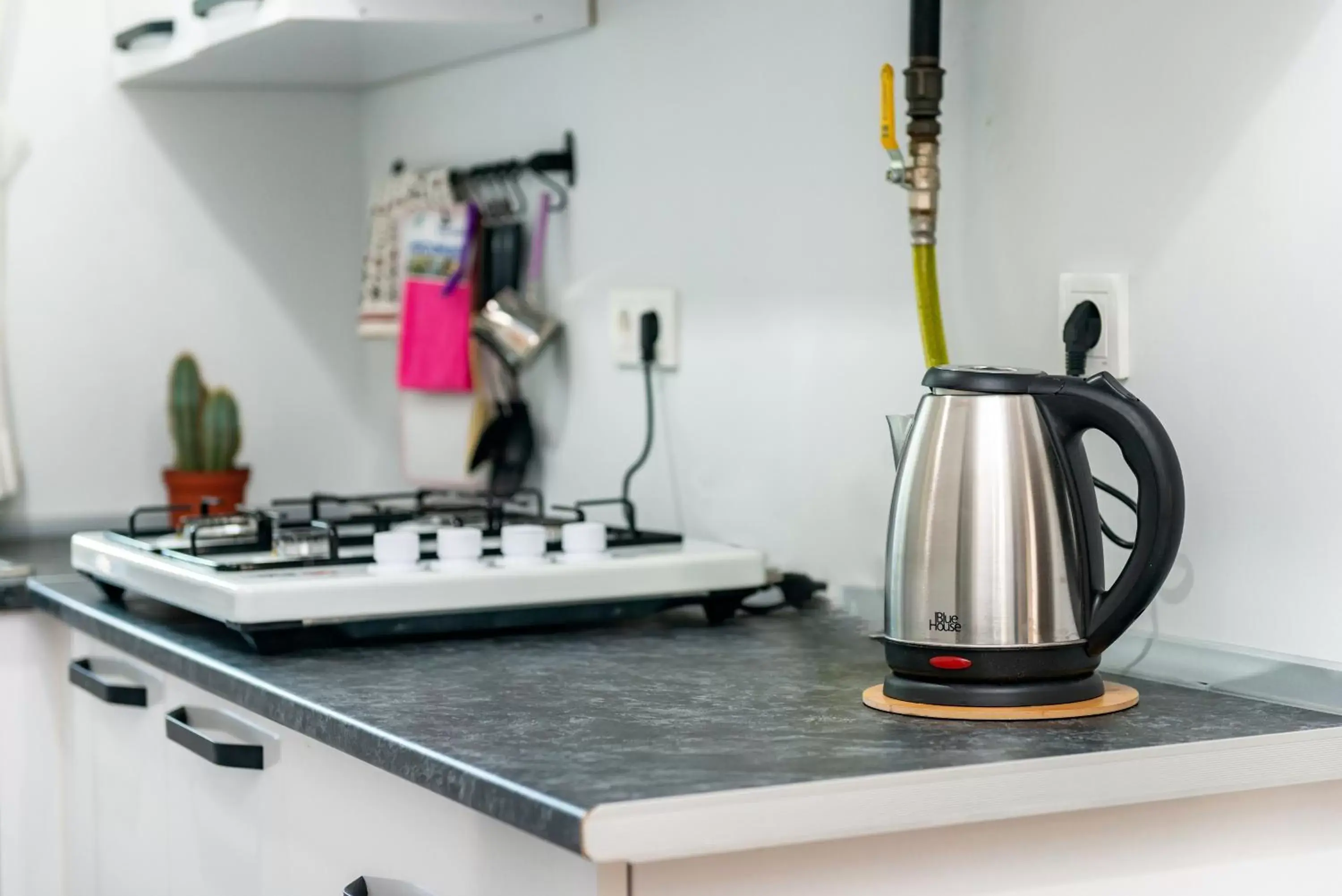 Coffee/tea facilities, Kitchen/Kitchenette in Dualis Hotel