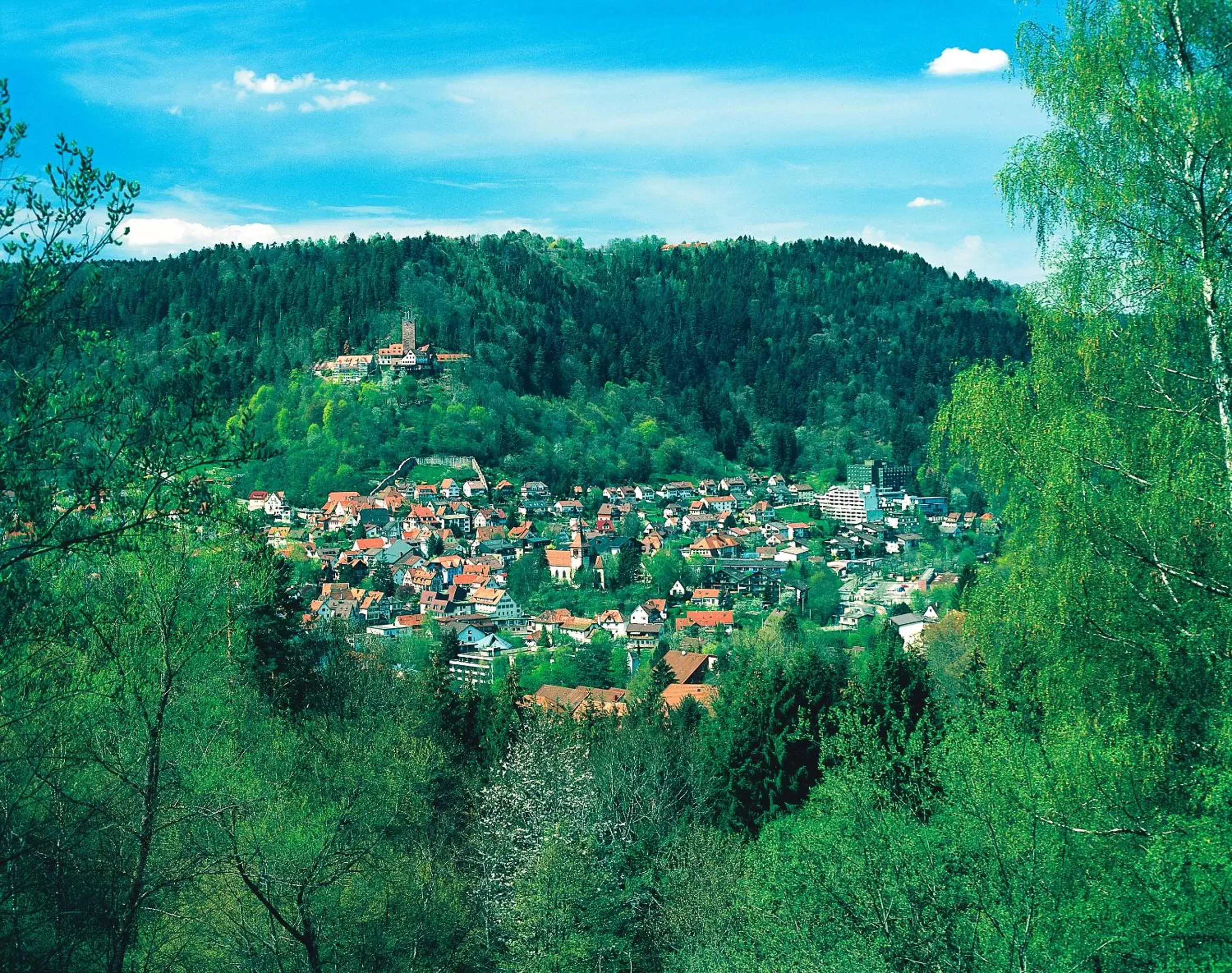 Area and facilities, Bird's-eye View in Hotel Hochwald