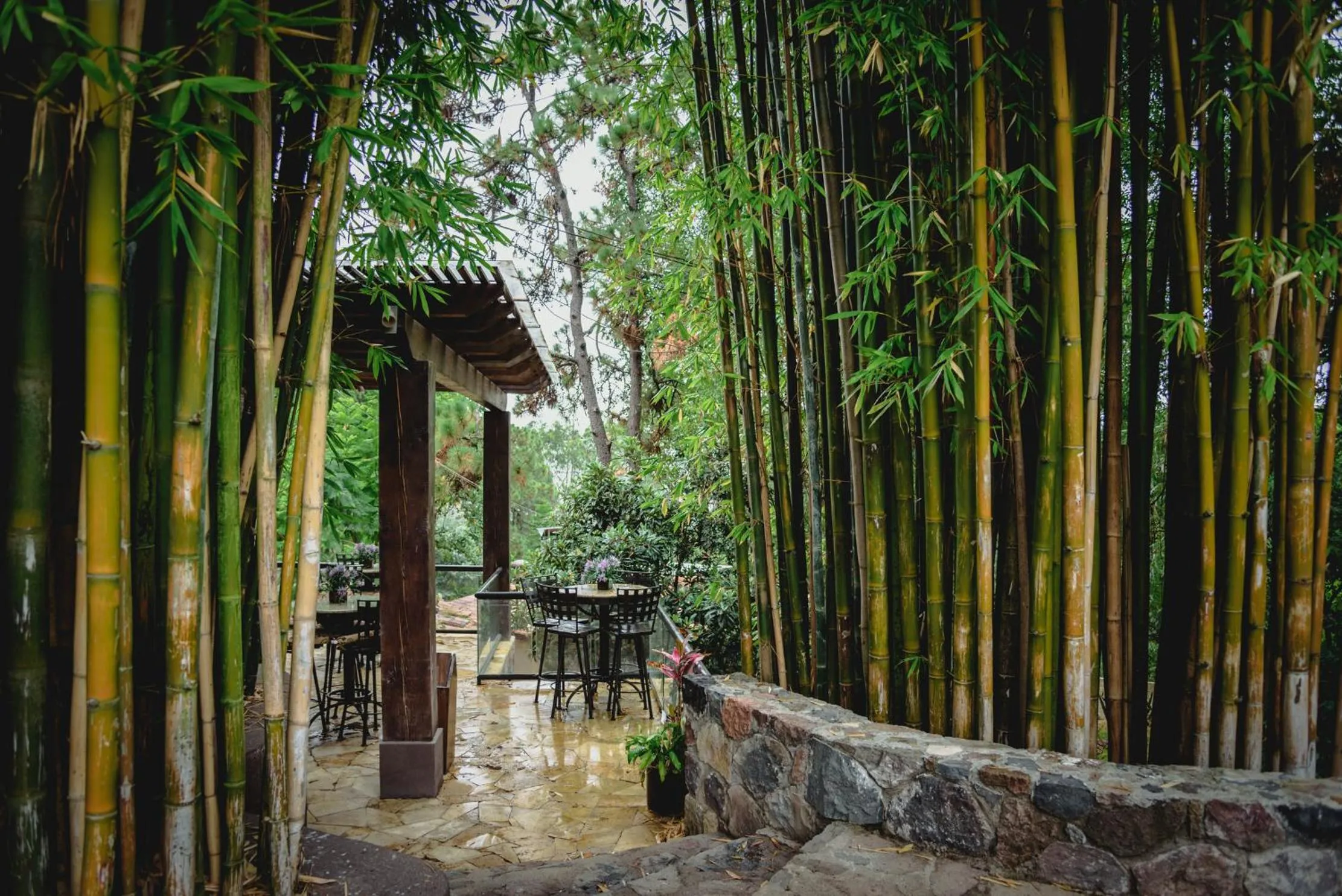 Restaurant/places to eat in Loto Azul Resort & Spa