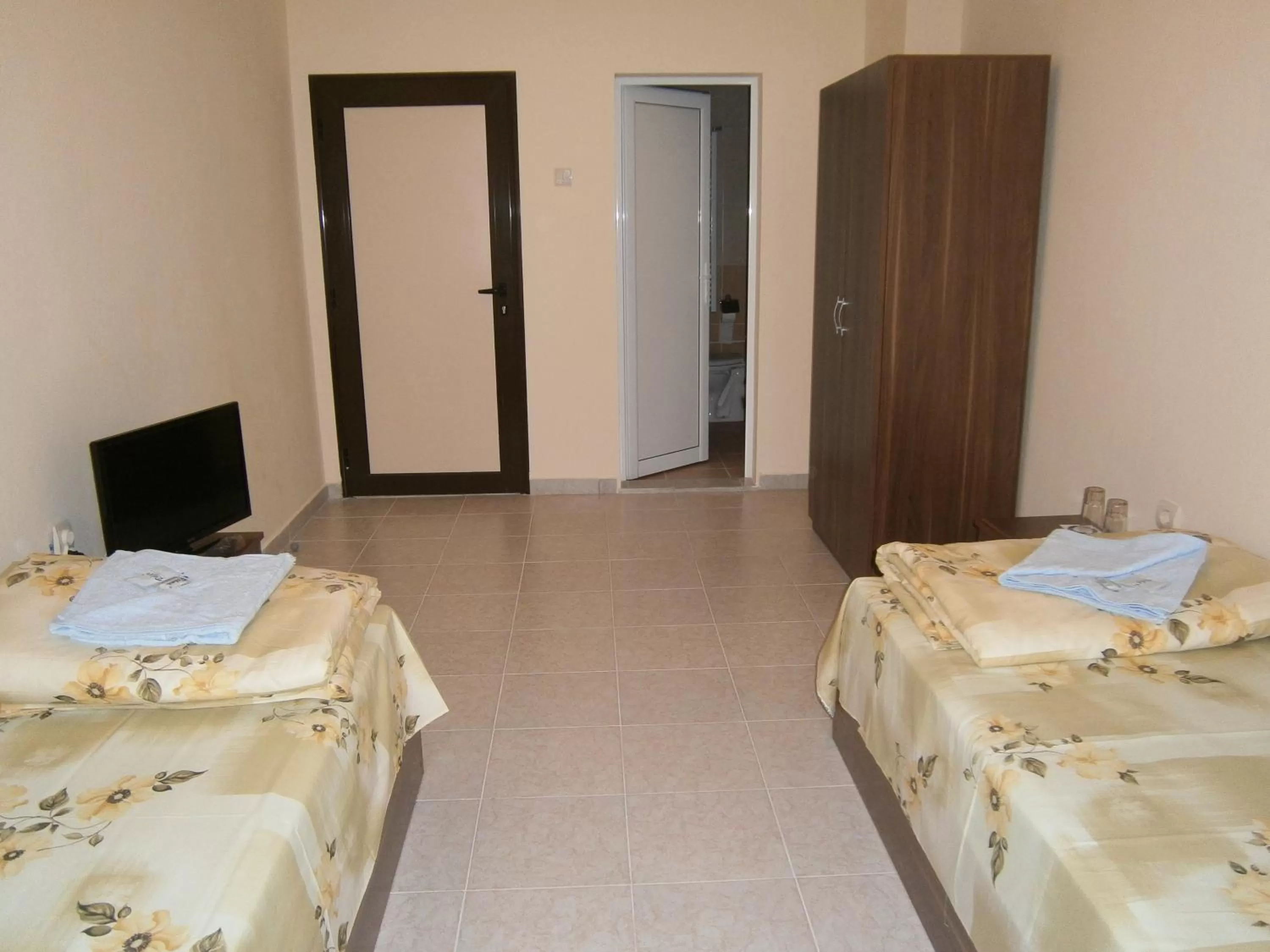 Deluxe Twin Room in Hotel Rositsa