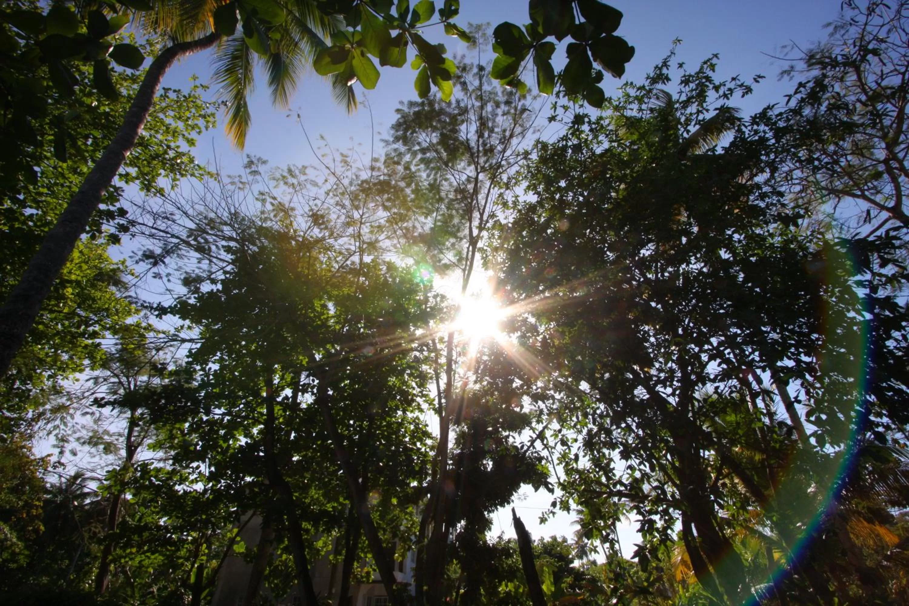 Other in La Residencia del Paseo