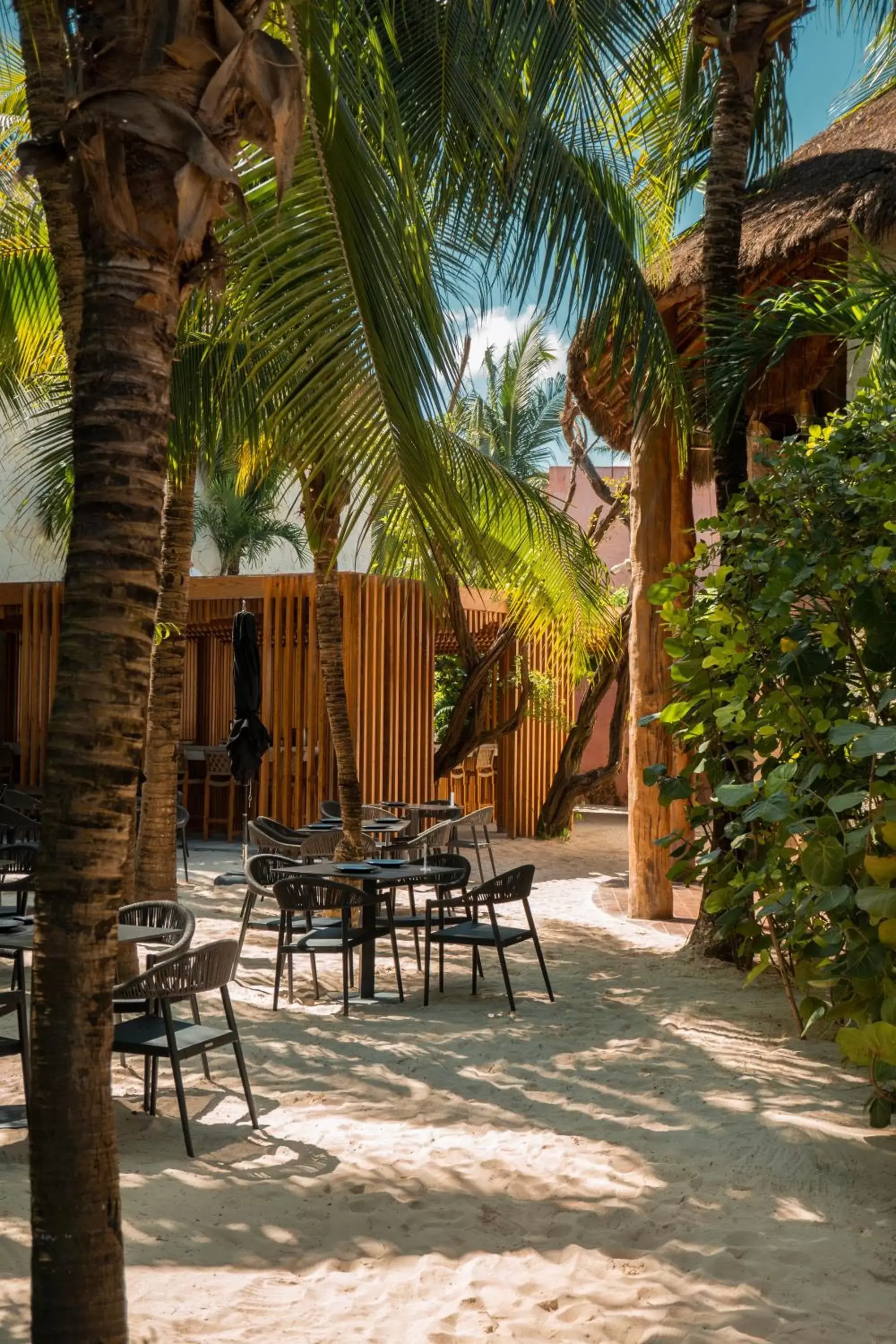 Restaurant/places to eat in Tago Tulum by G Hotels