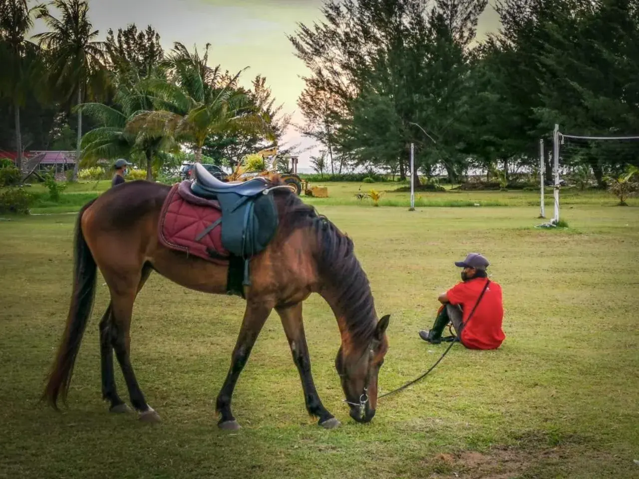 Horse-riding in Palm Beach Resort & Spa