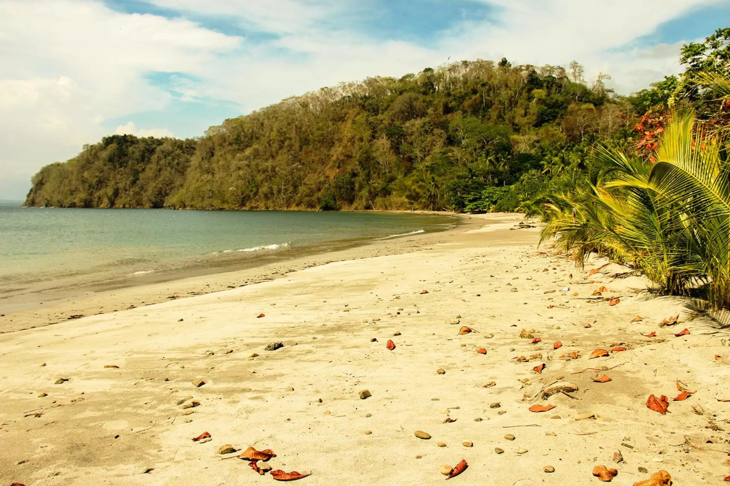 Beach in Hotel Arenas en Punta Leona