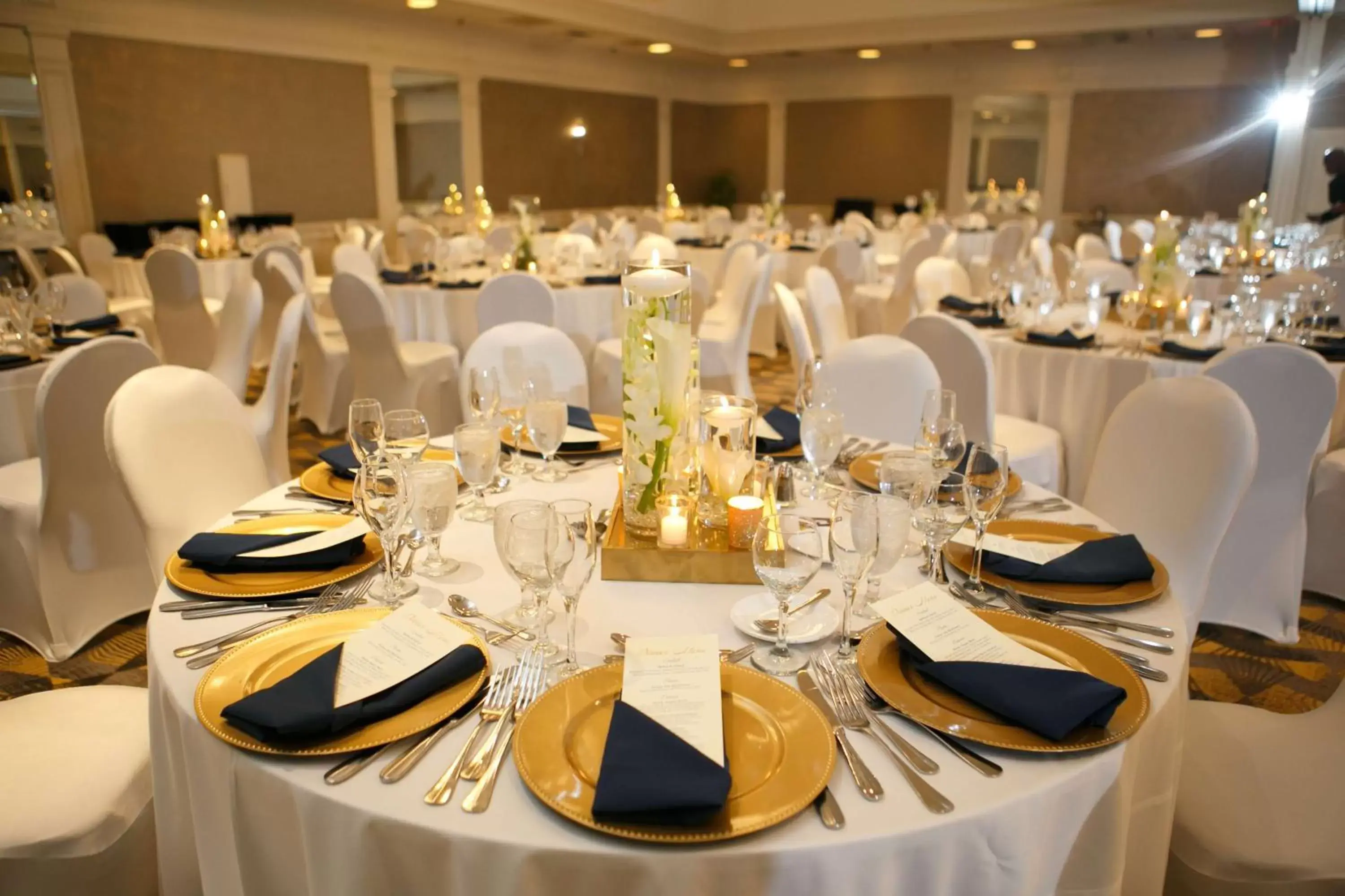 Meeting/conference room, Banquet Facilities in Hilton Hartford