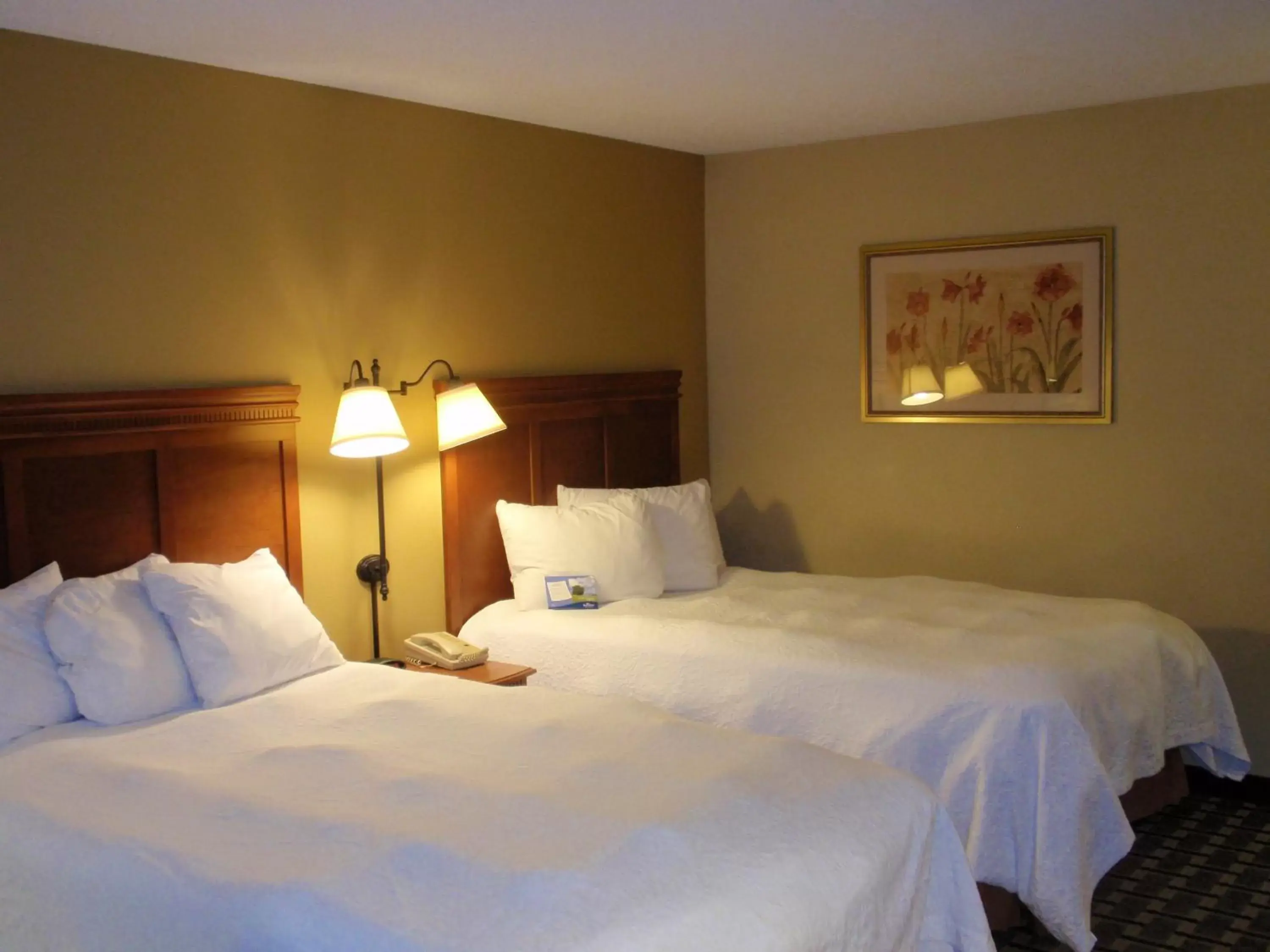 Photo of the whole room, Bed in Baymont by Wyndham Lewisville