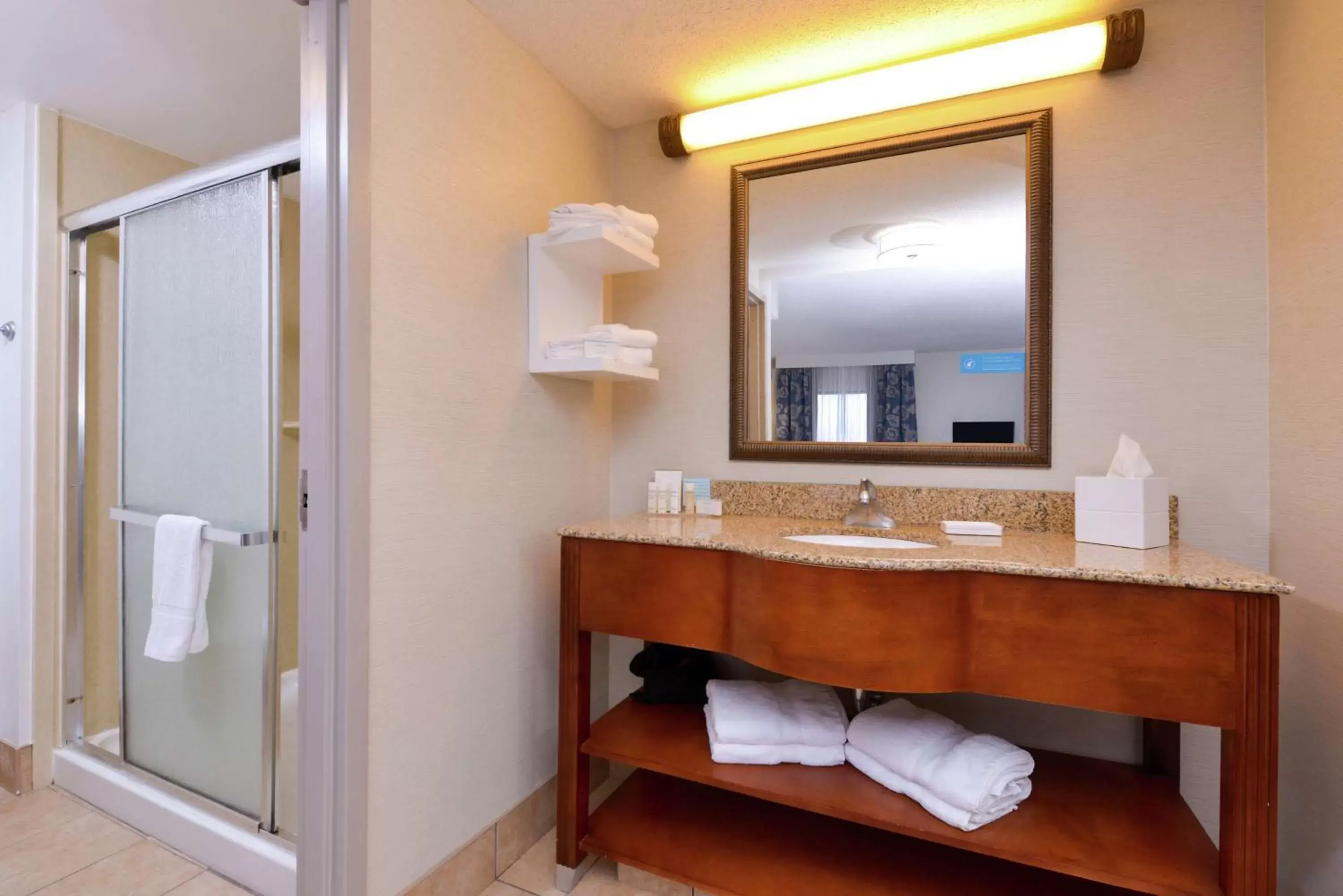 Bathroom in Hampton Inn & Suites Wilmington
