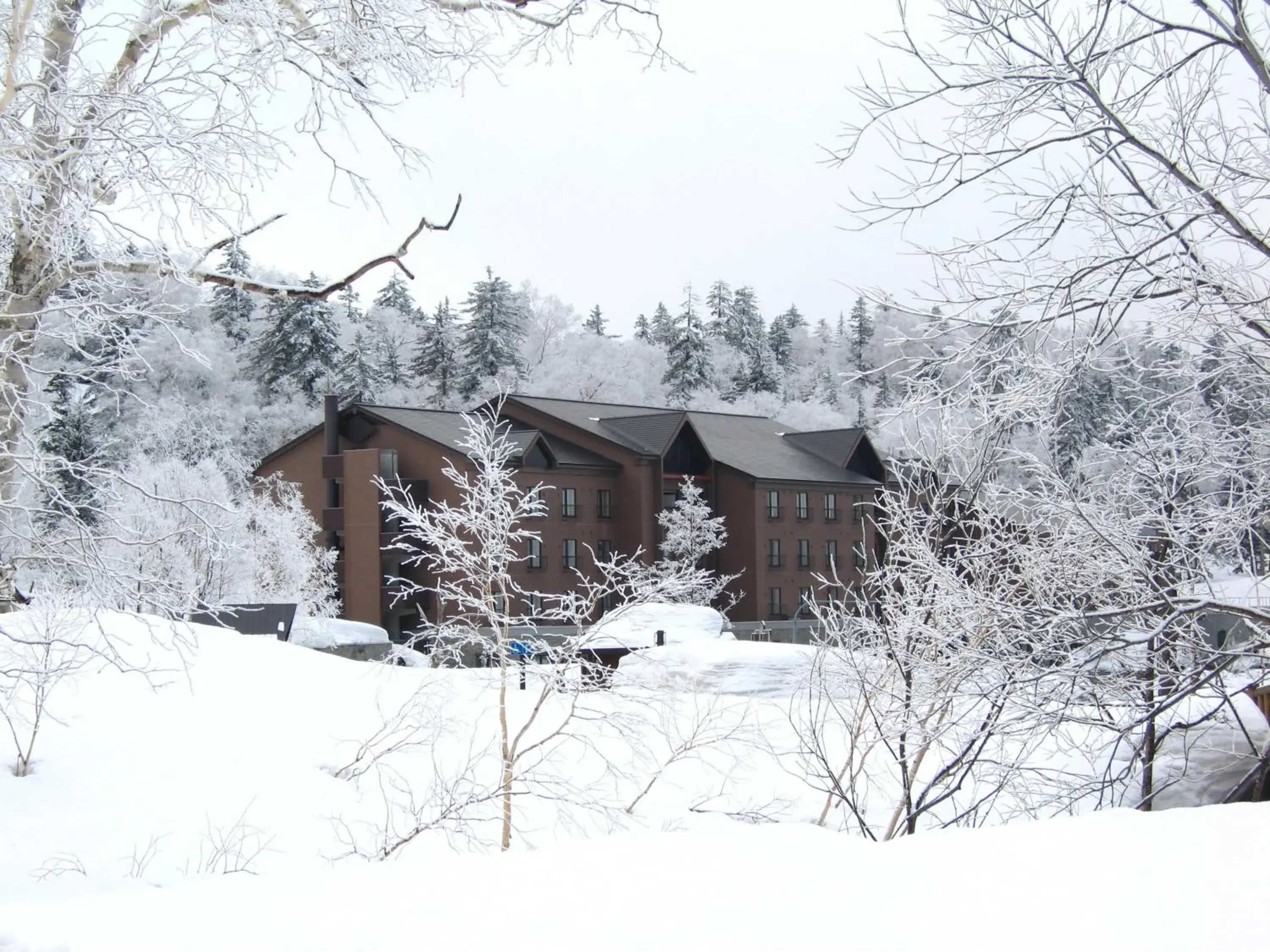 Facade/entrance, Winter in Asahidake Onsen Hotel Bear Monte