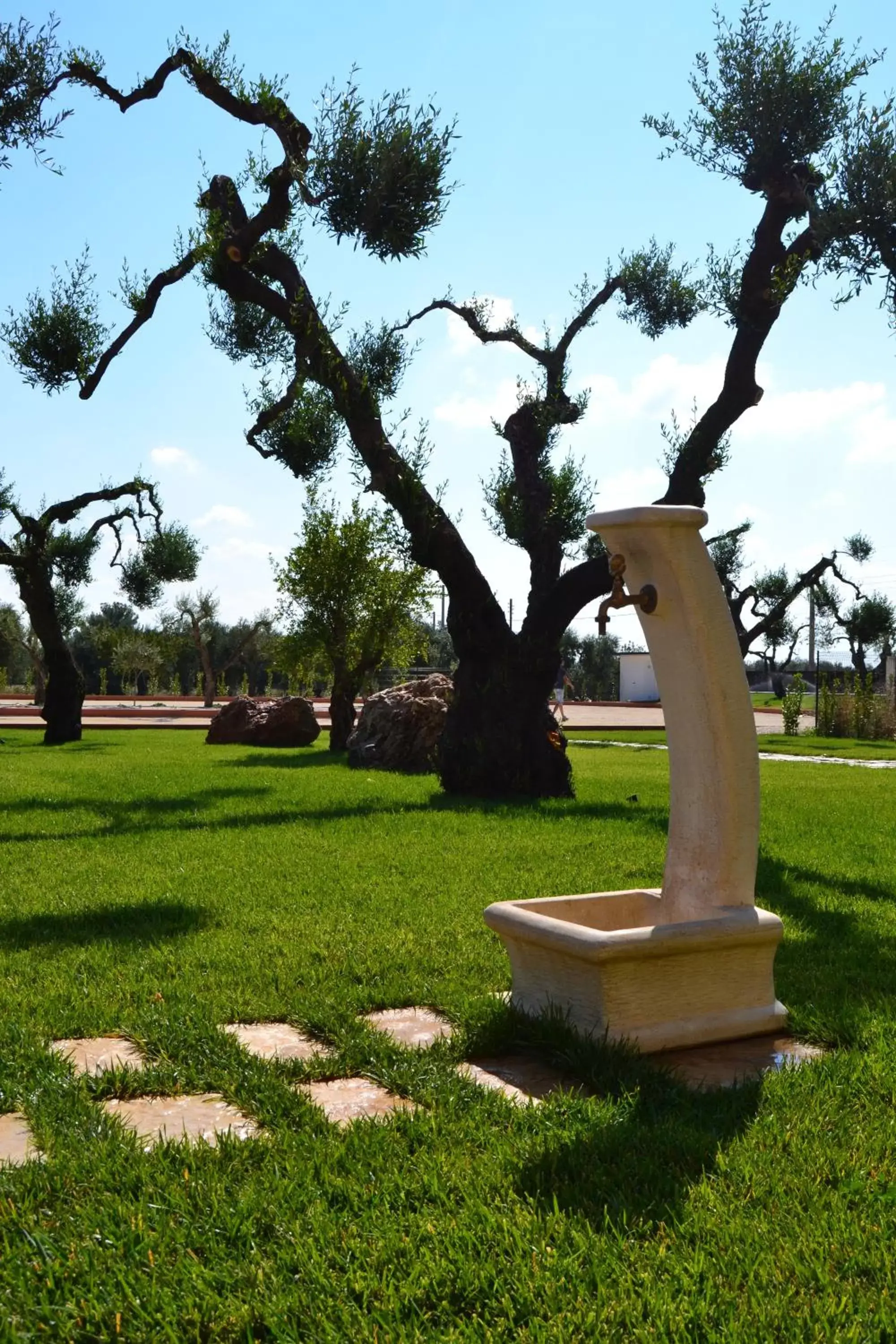 Garden in Villa D'Anzi B&B