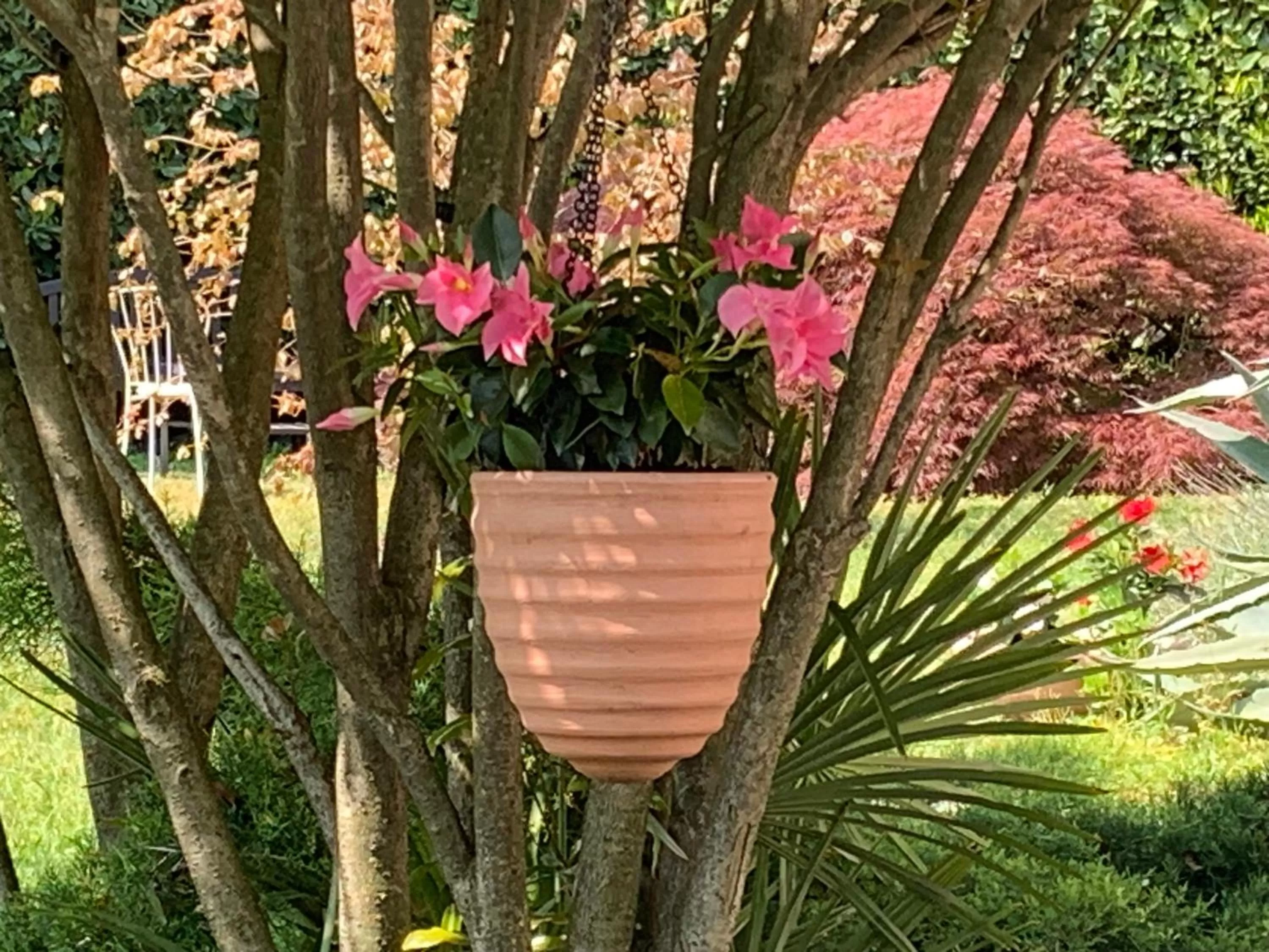 Garden in CASABELLA-LAGO MAGGIORE