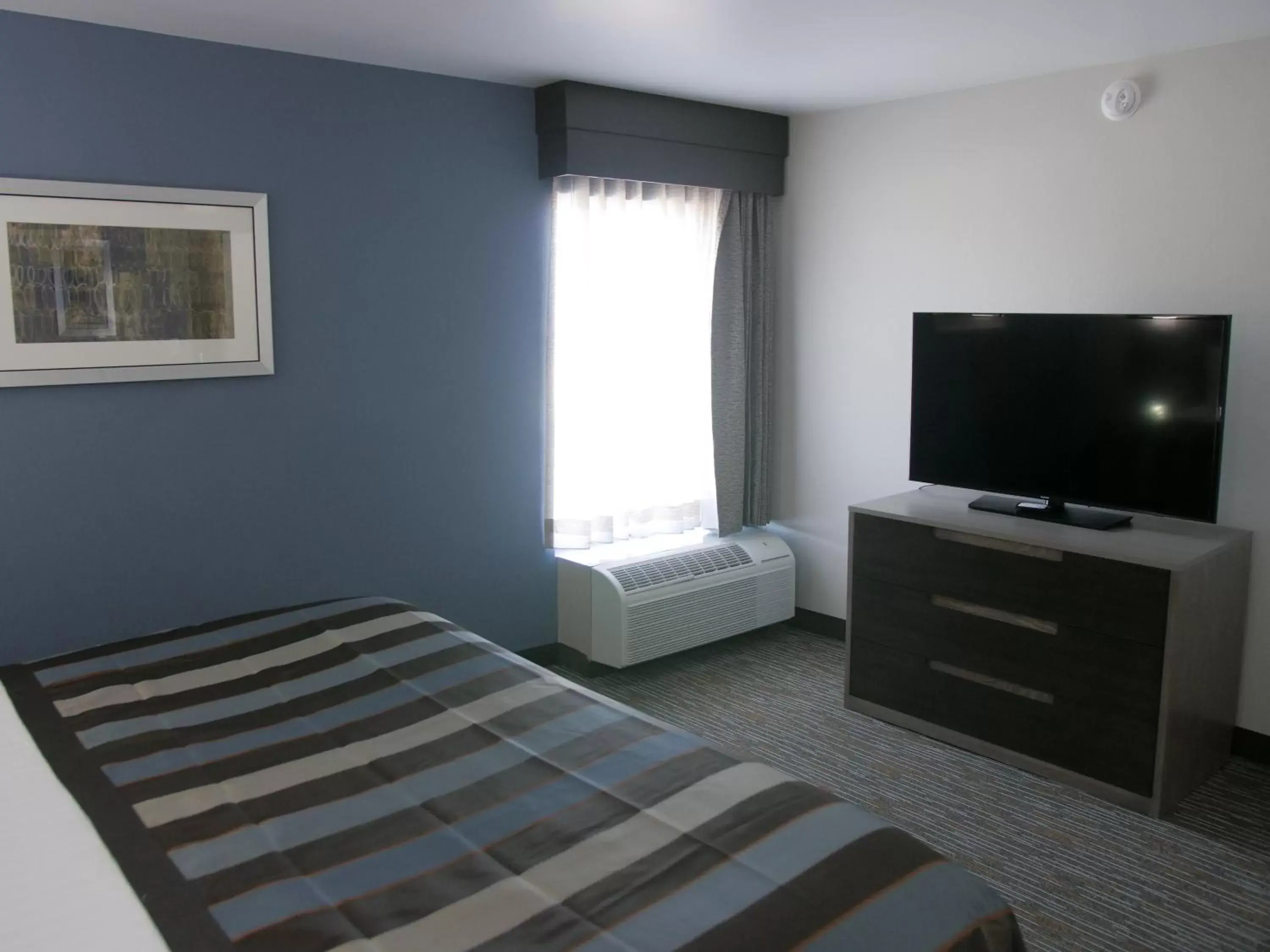 Bed, TV/Entertainment Center in Wingate by Wyndham Louisville Airport Expo Center