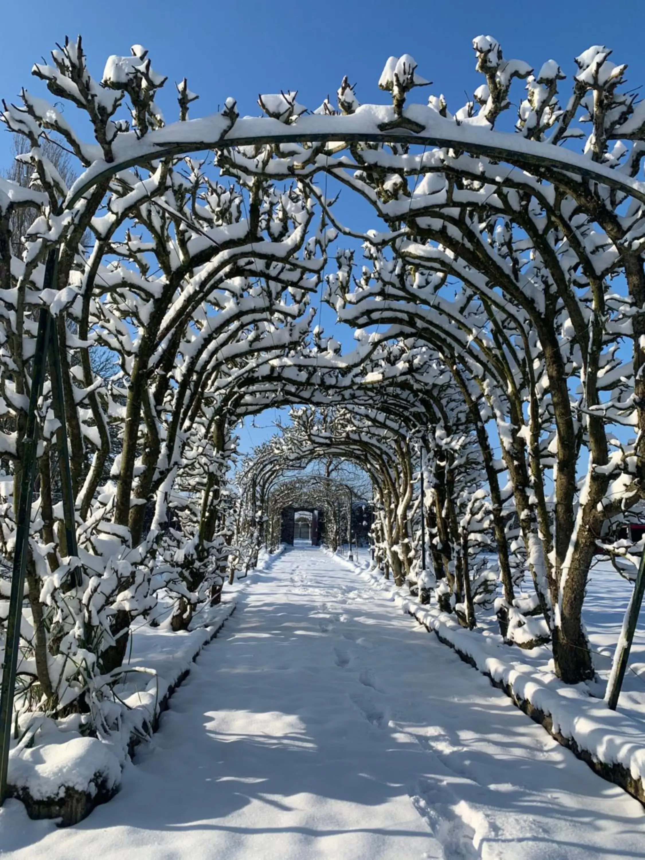 Garden, Winter in LA MEFFRAIS 1741