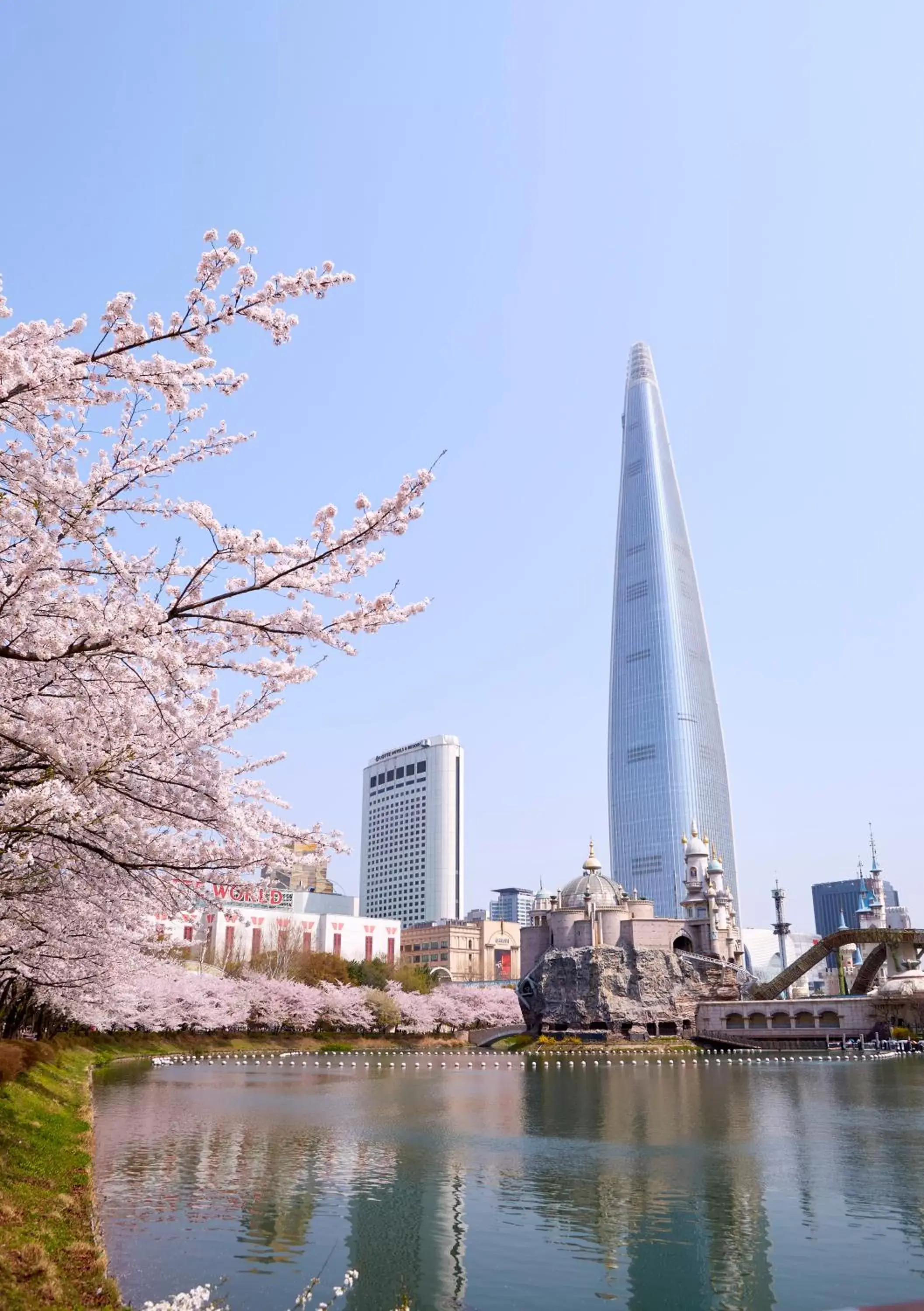 Spring in Lotte Hotel World