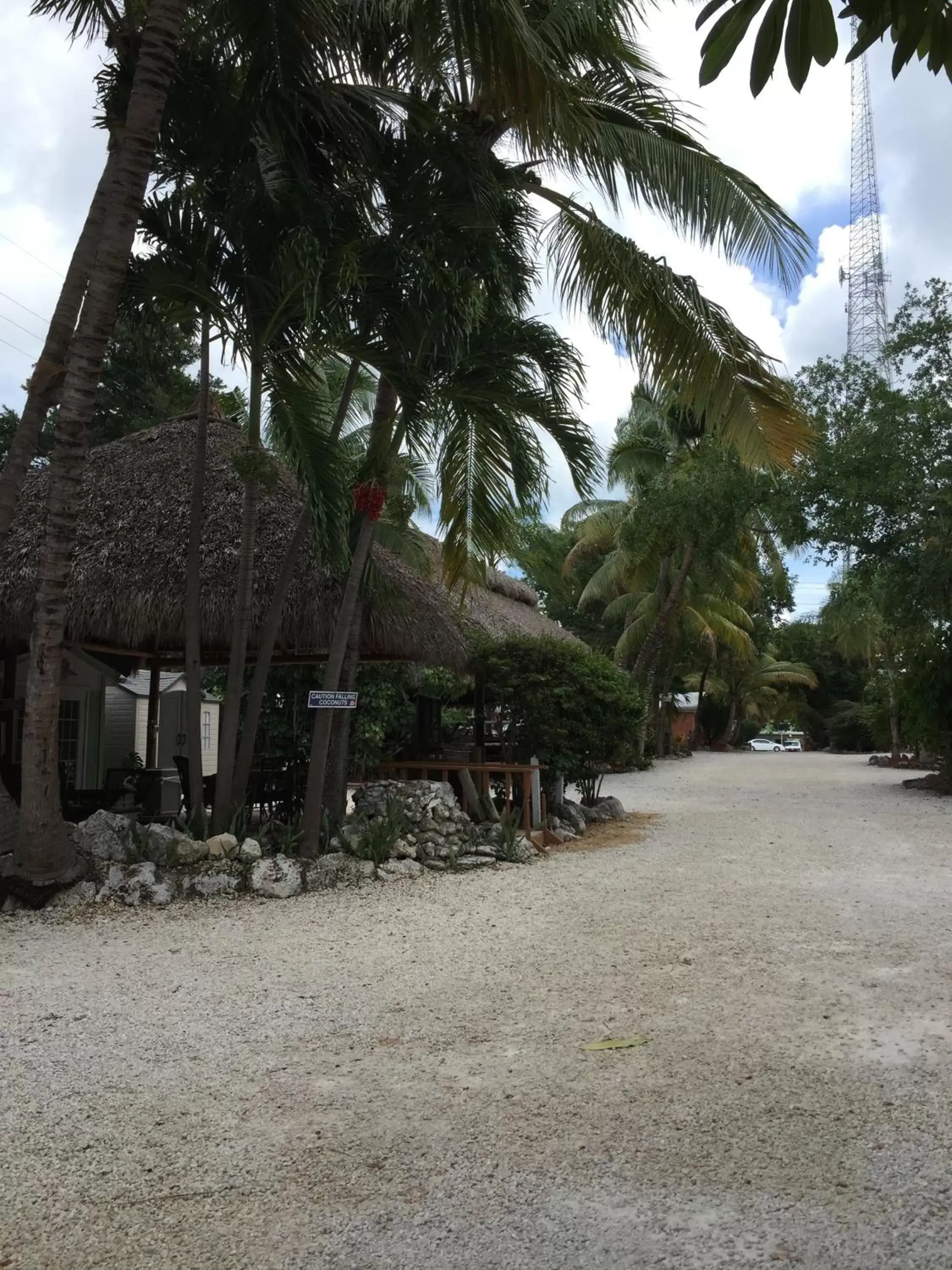 View (from property/room), Beach in The Pelican Key Largo Cottages