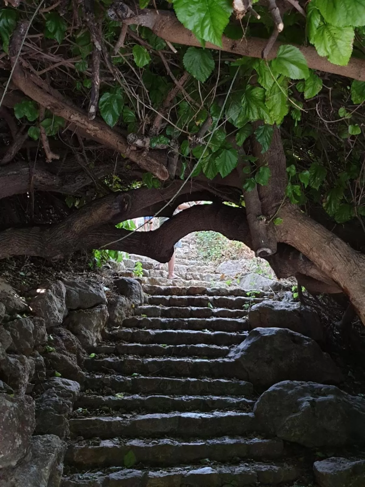 Day in Lishansky Since 1936