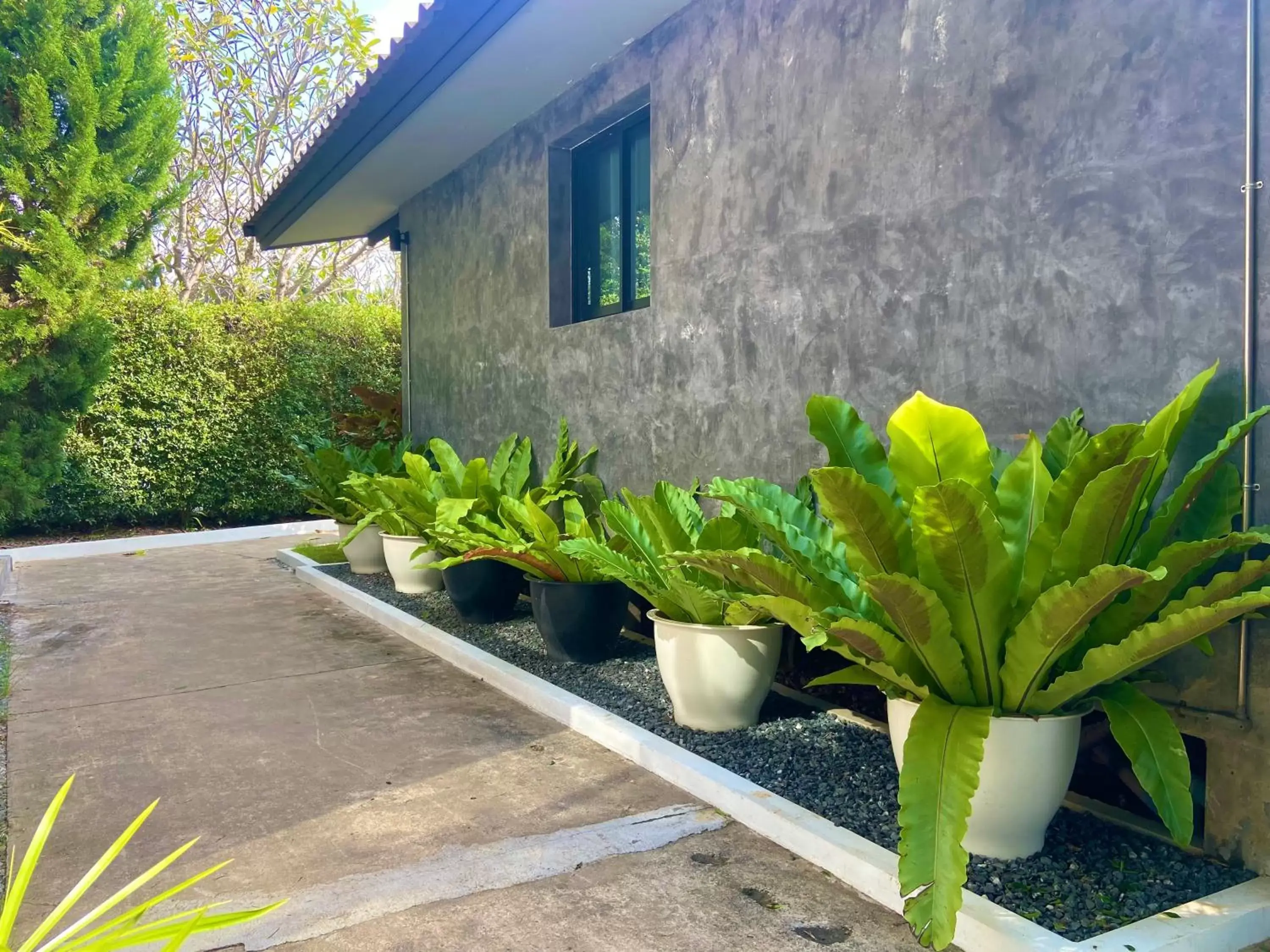 Property building in Family House Zen Boutique Resort