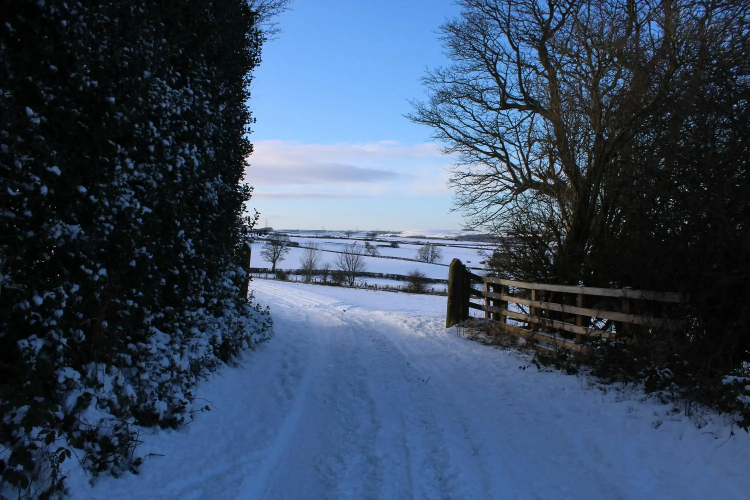 Neighbourhood, Winter in White House Cottages