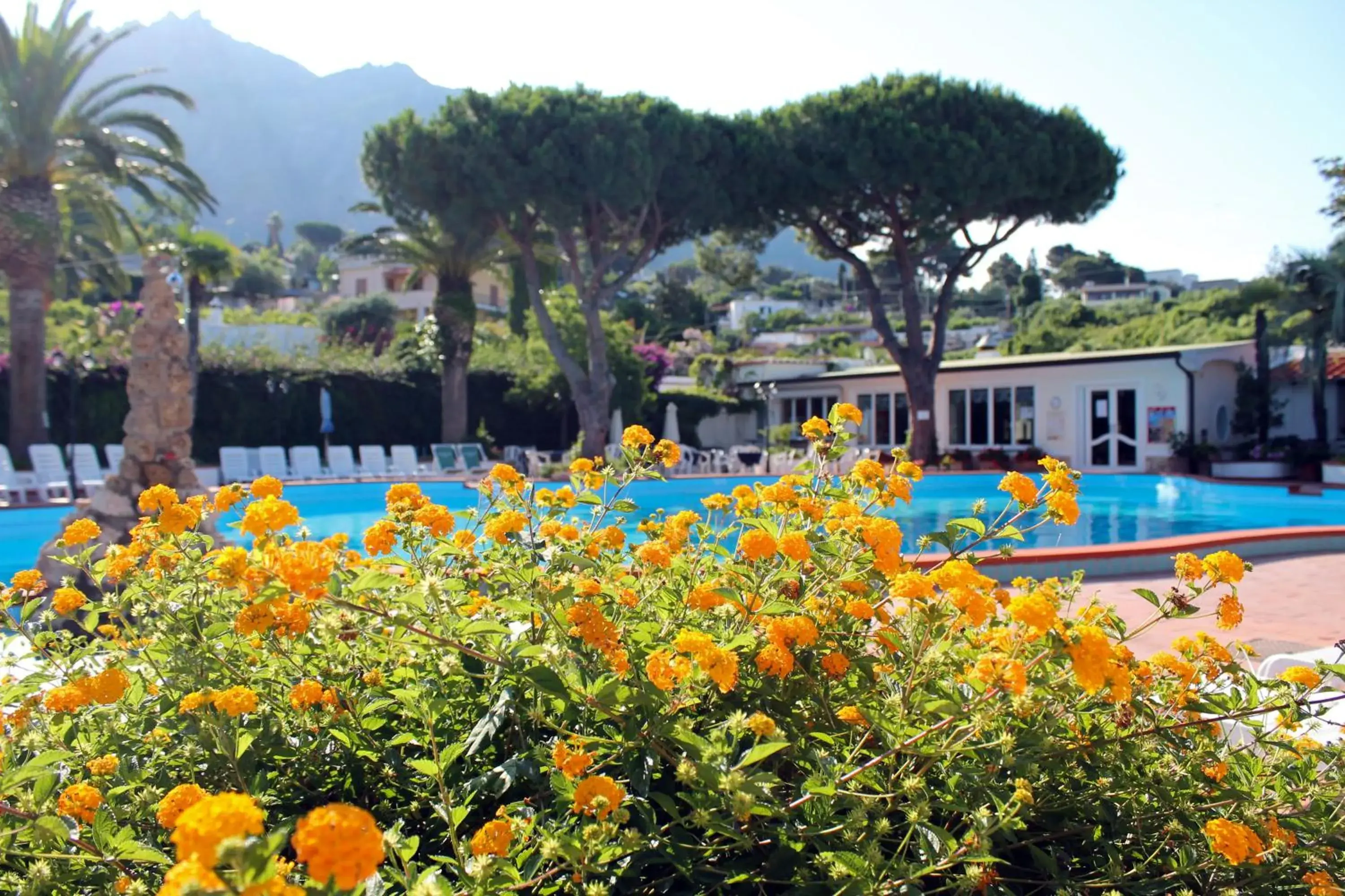 Swimming Pool in Hotel Terme Park Imperial