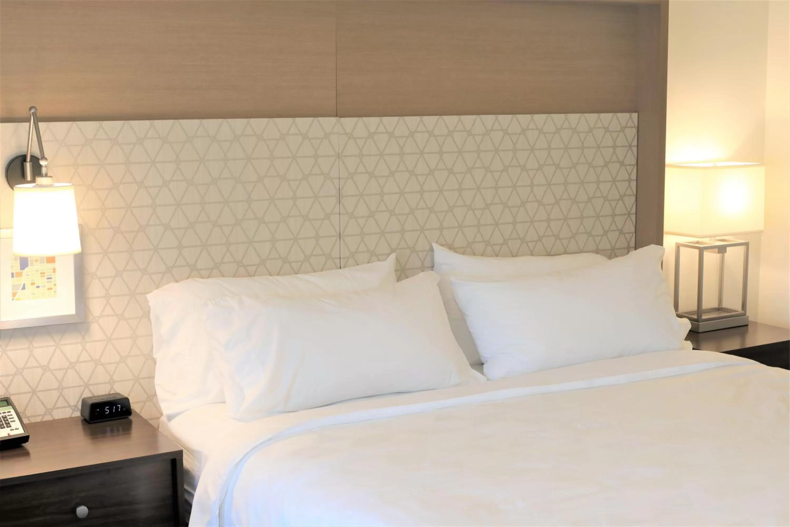 Photo of the whole room in Holiday Inn & Suites St. Cloud by IHG