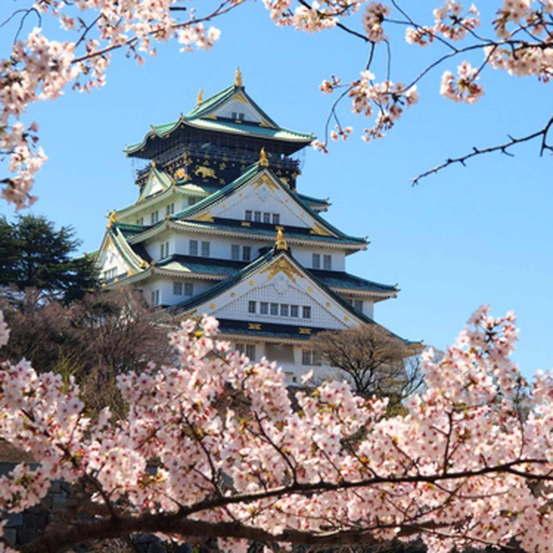 Spring in Hotel CoCoDe Plus