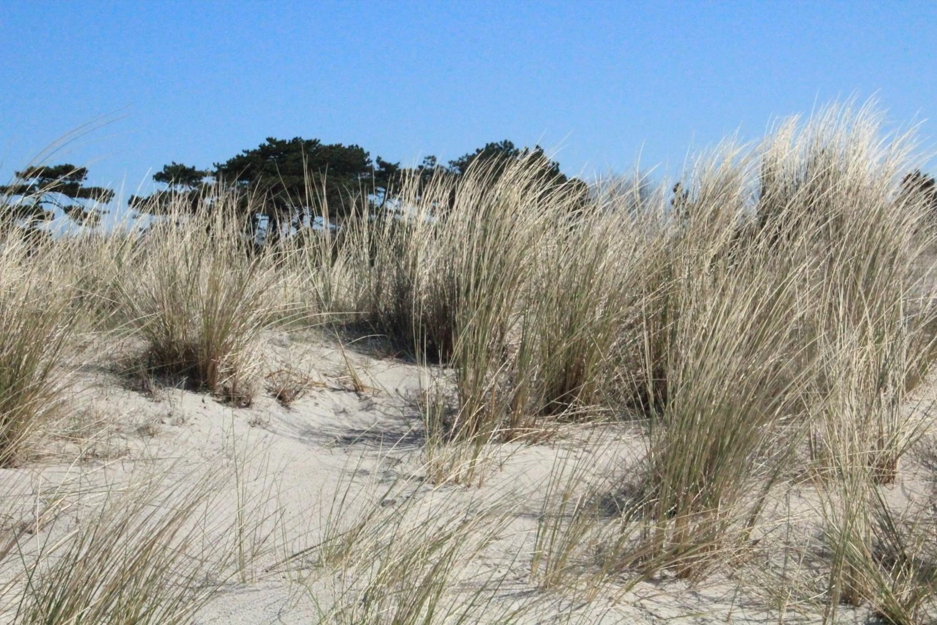 Day in Ostseehotel Dierhagen