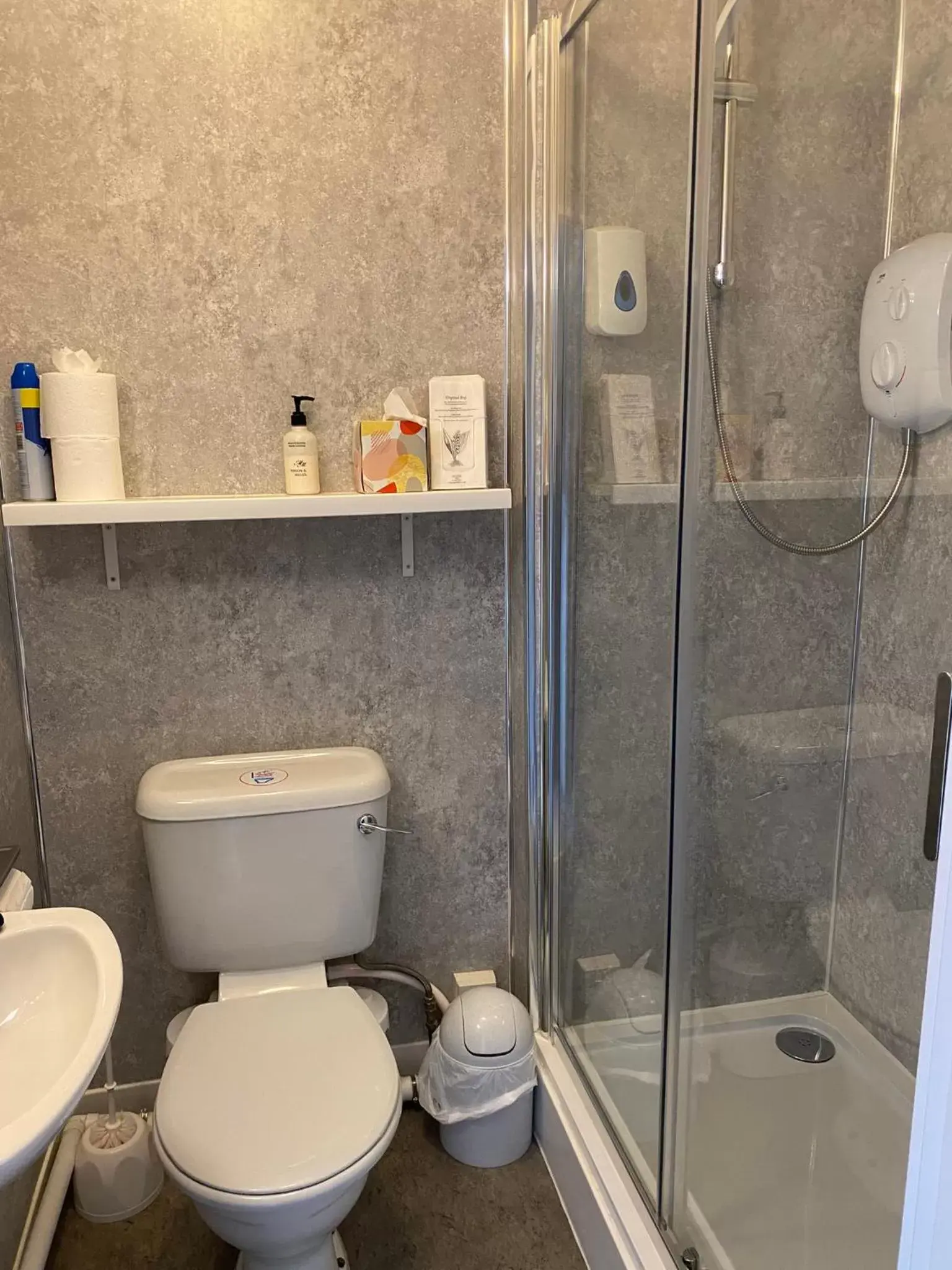 Shower, Bathroom in Paignton Court