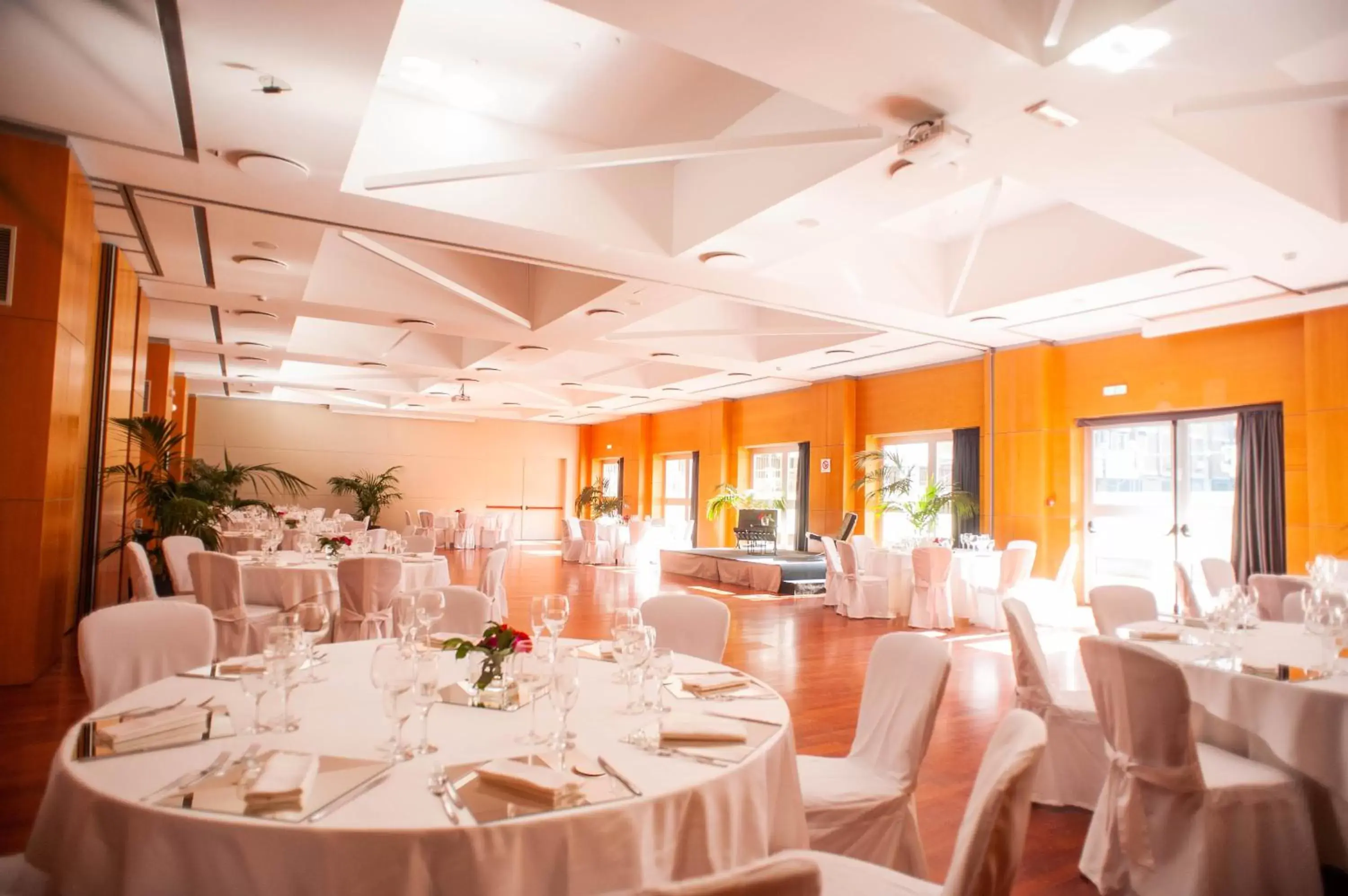 Banquet/Function facilities, Banquet Facilities in Hotel Excelsior Bari