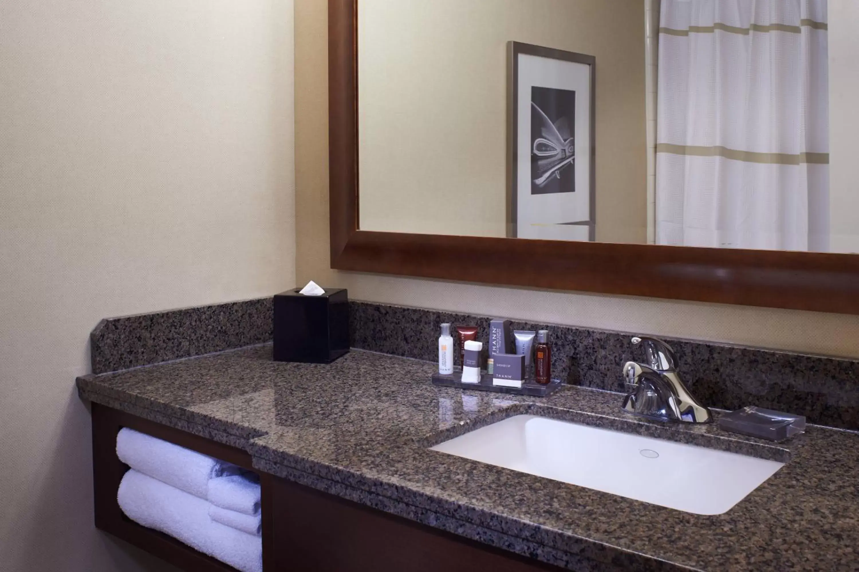 Bathroom in Detroit Marriott at the Renaissance Center