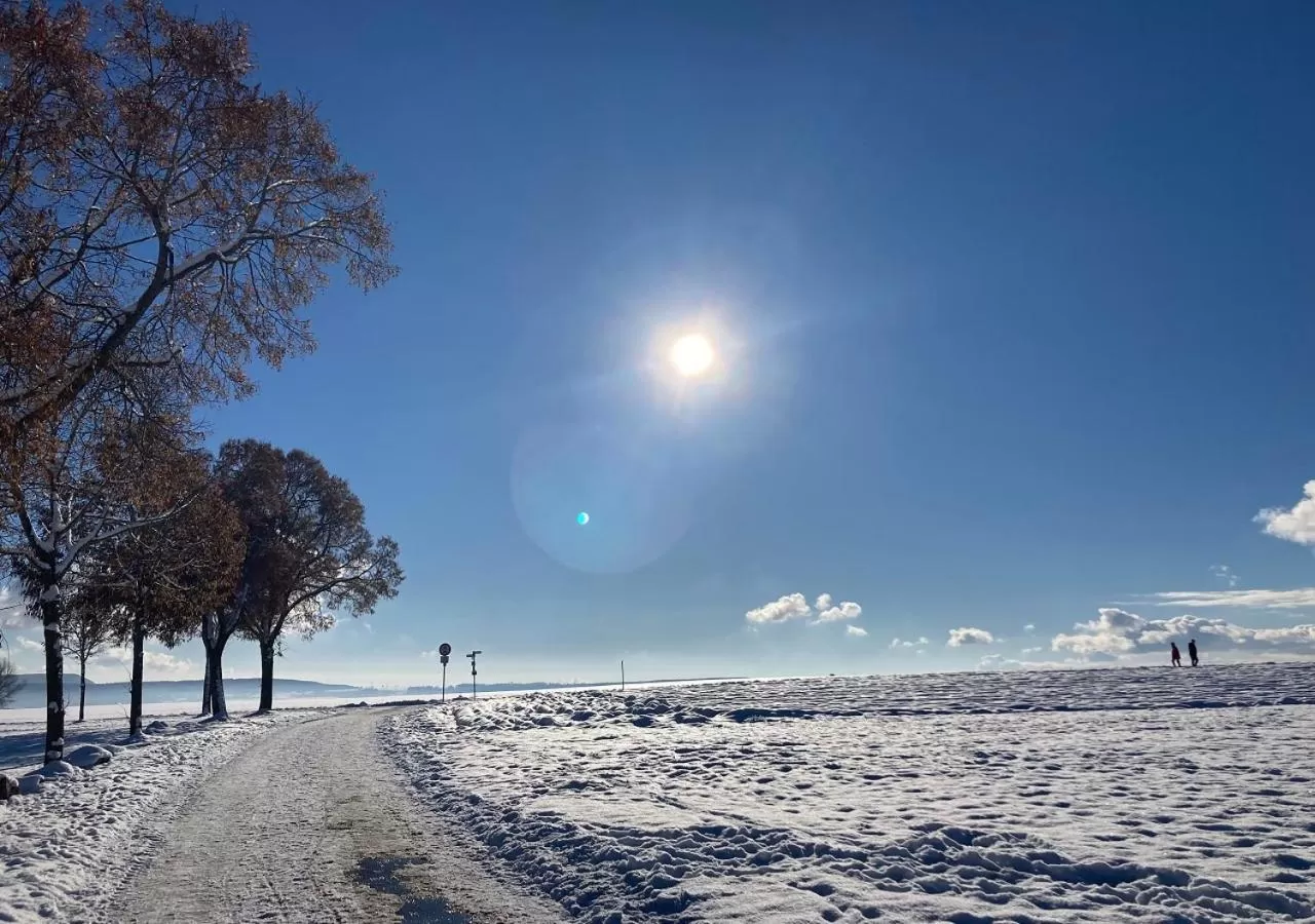 Activities in Wyndham Garden Donaueschingen