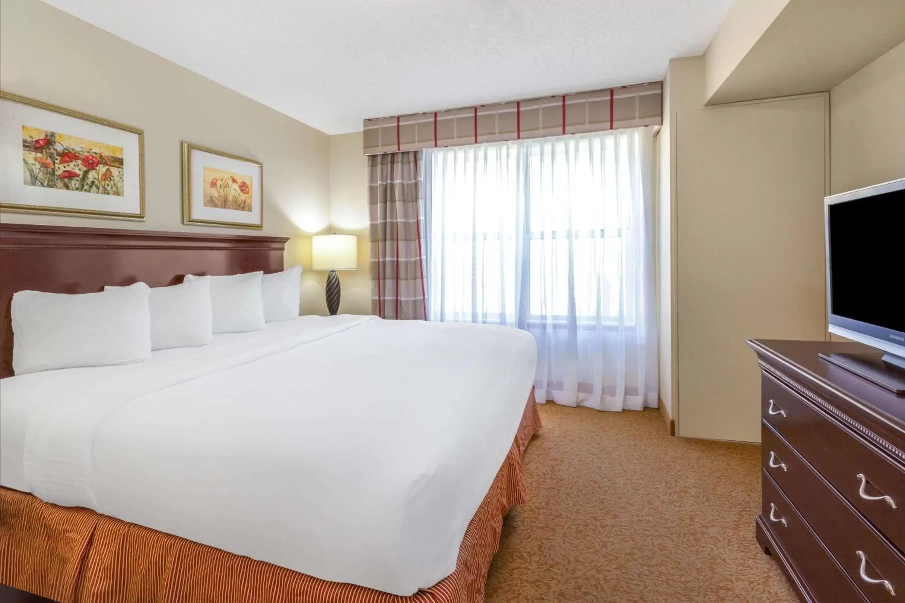 Photo of the whole room, Bed in AmericInn by Wyndham Iron Mountain