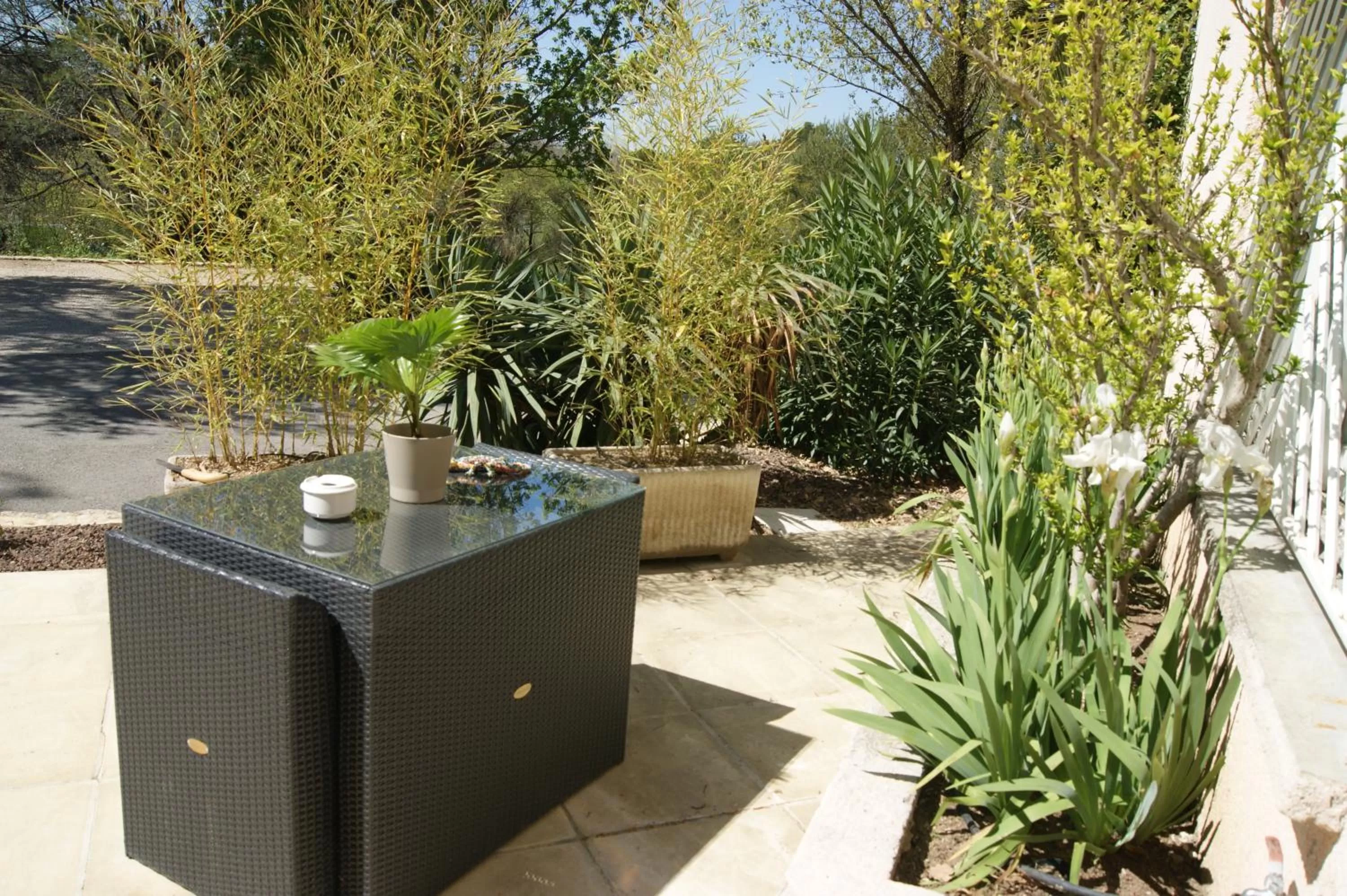 Garden view in B&B Villa Castelnau Montpellier