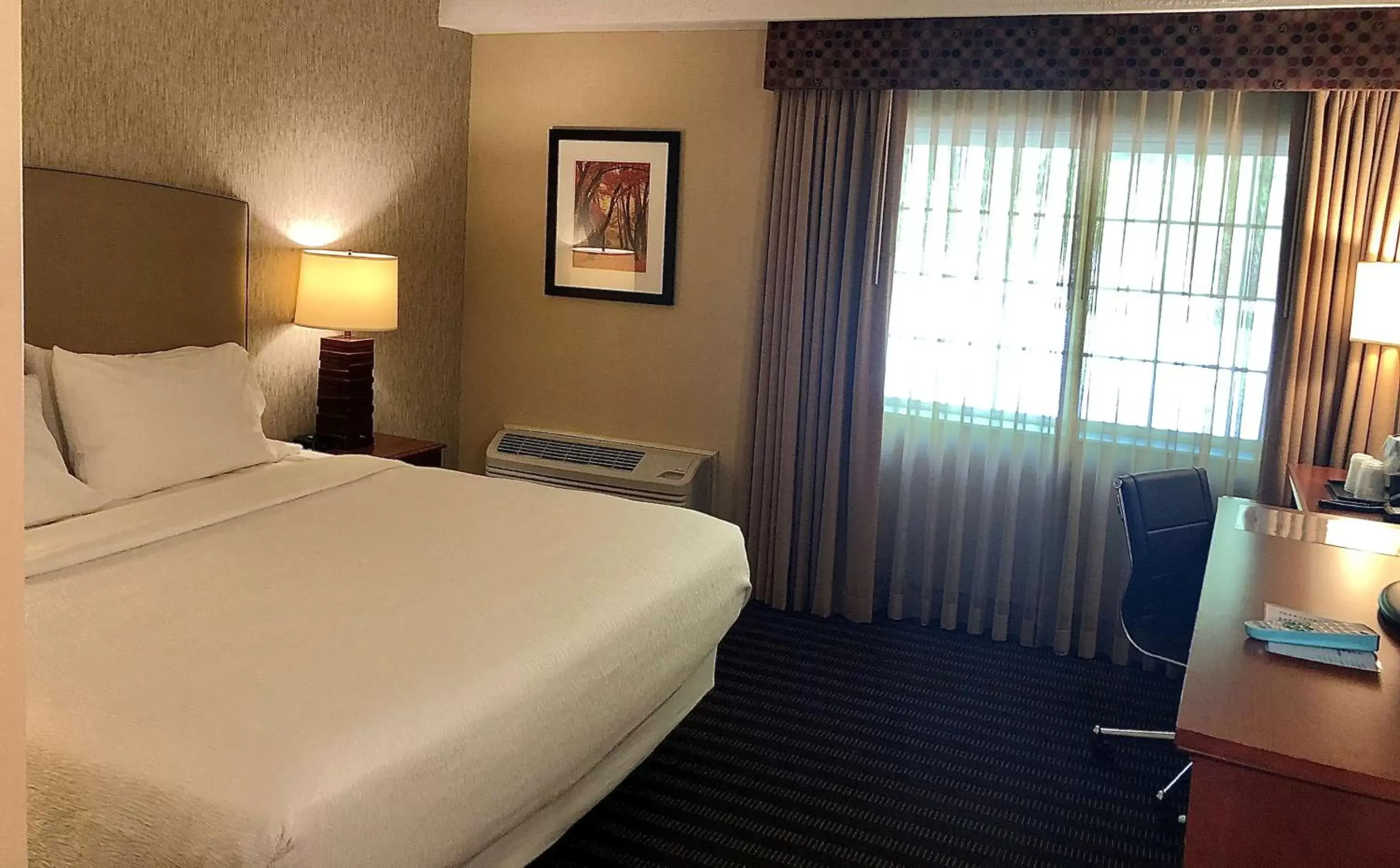 Photo of the whole room, Bed in Best Western Springfield Hotel