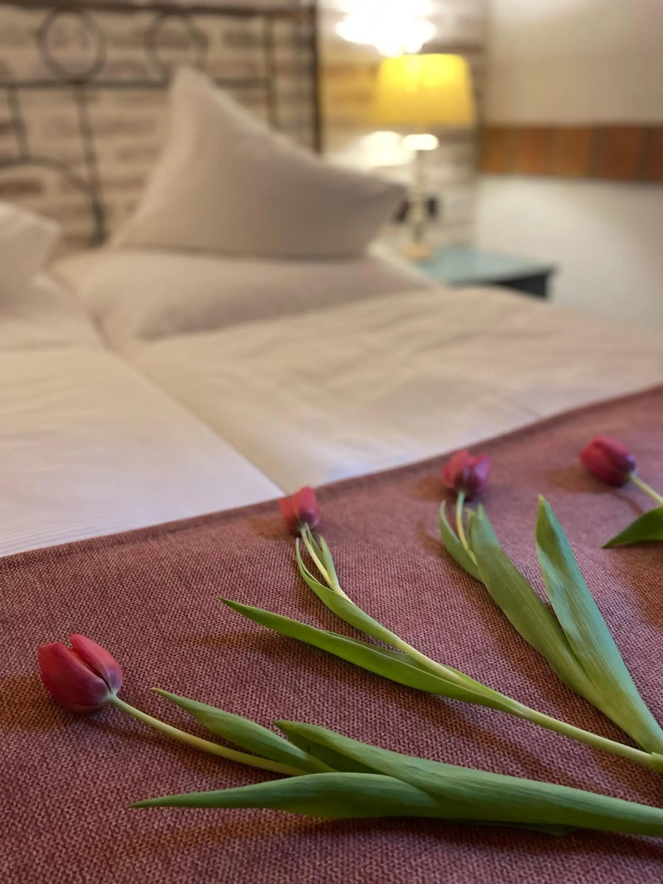 Bed in Romantik Hotel U Raka
