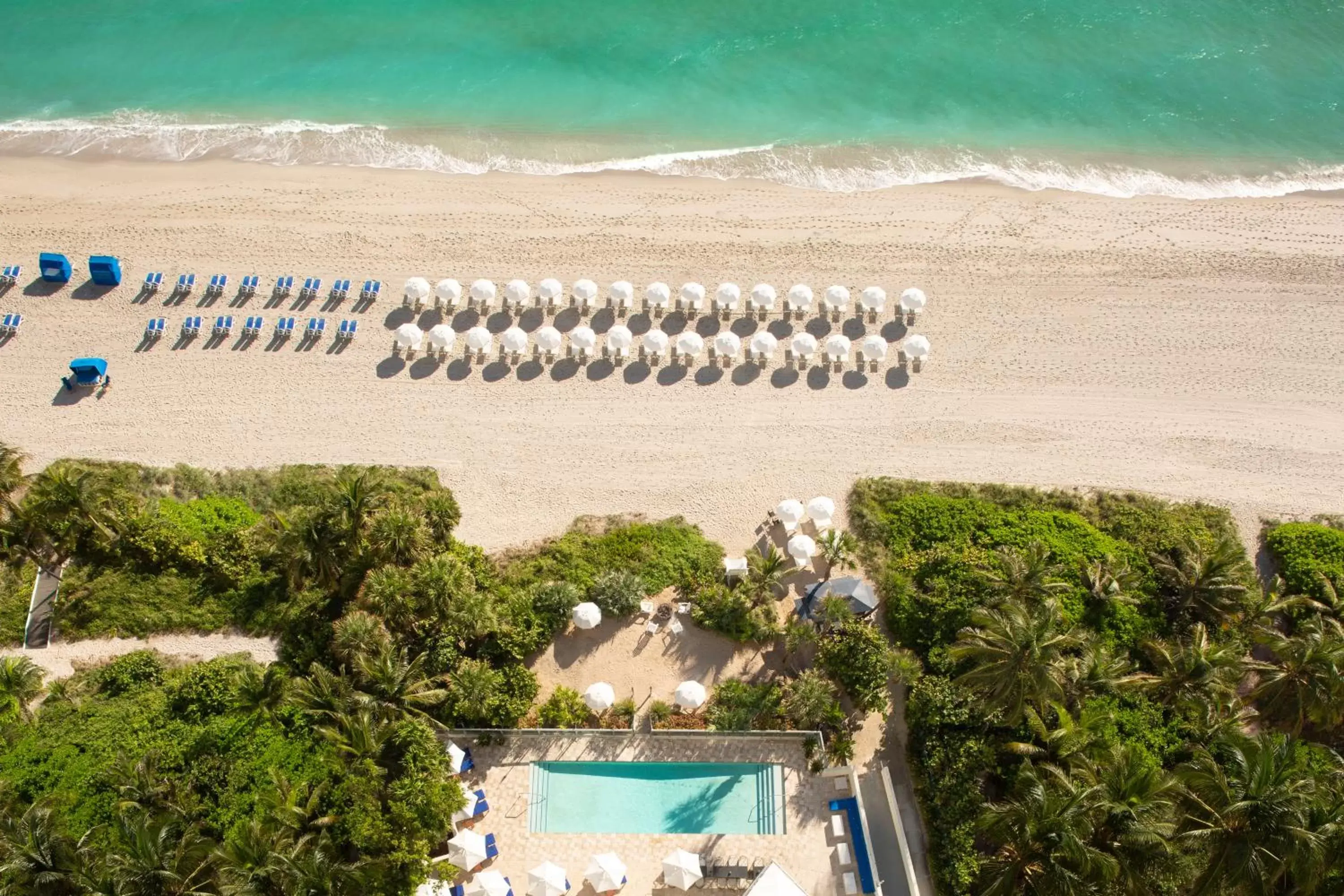 Bird's eye view, Pool View in Sole Miami, A Noble House Resort