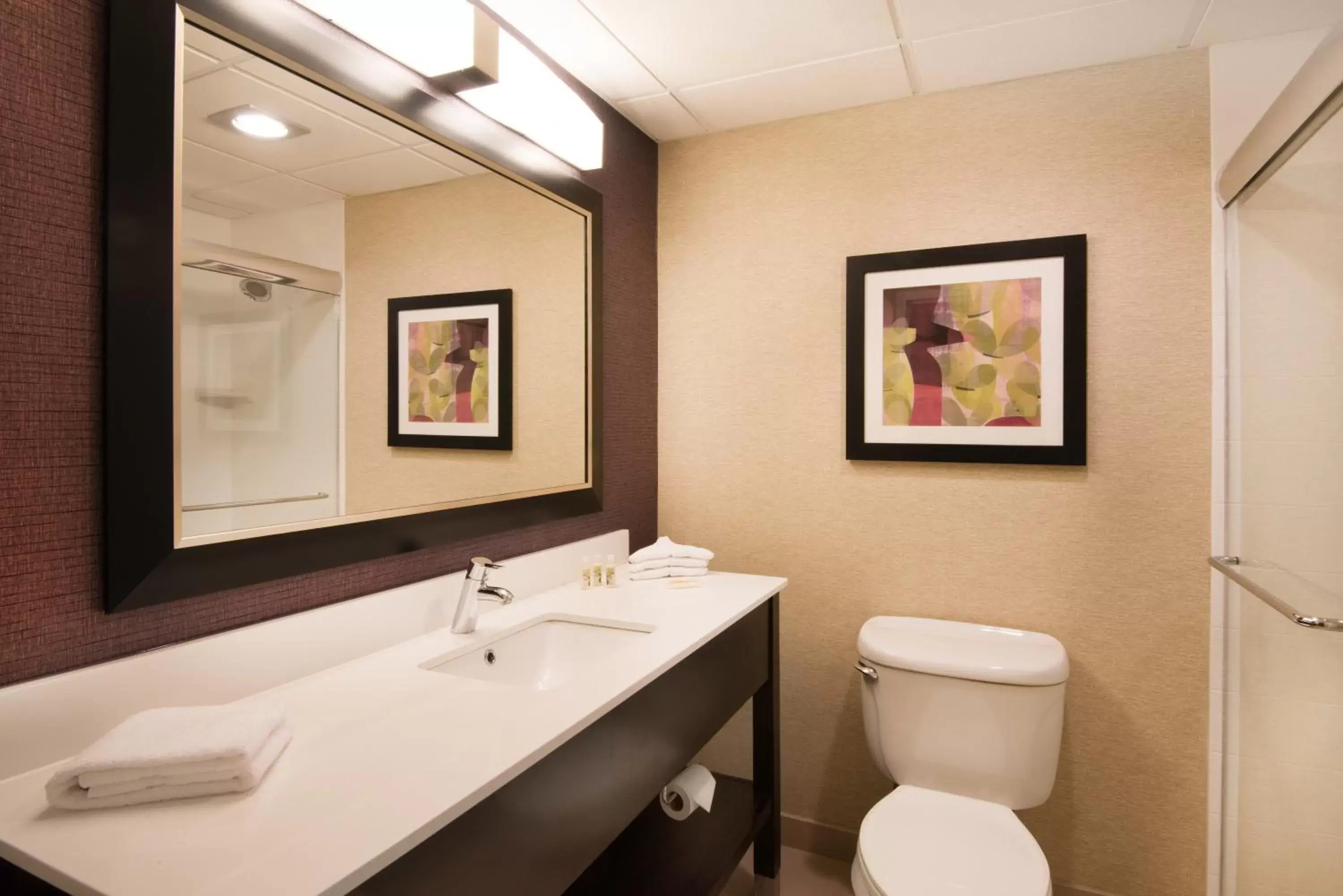 Bathroom in Holiday Inn Williamsport, an IHG Hotel