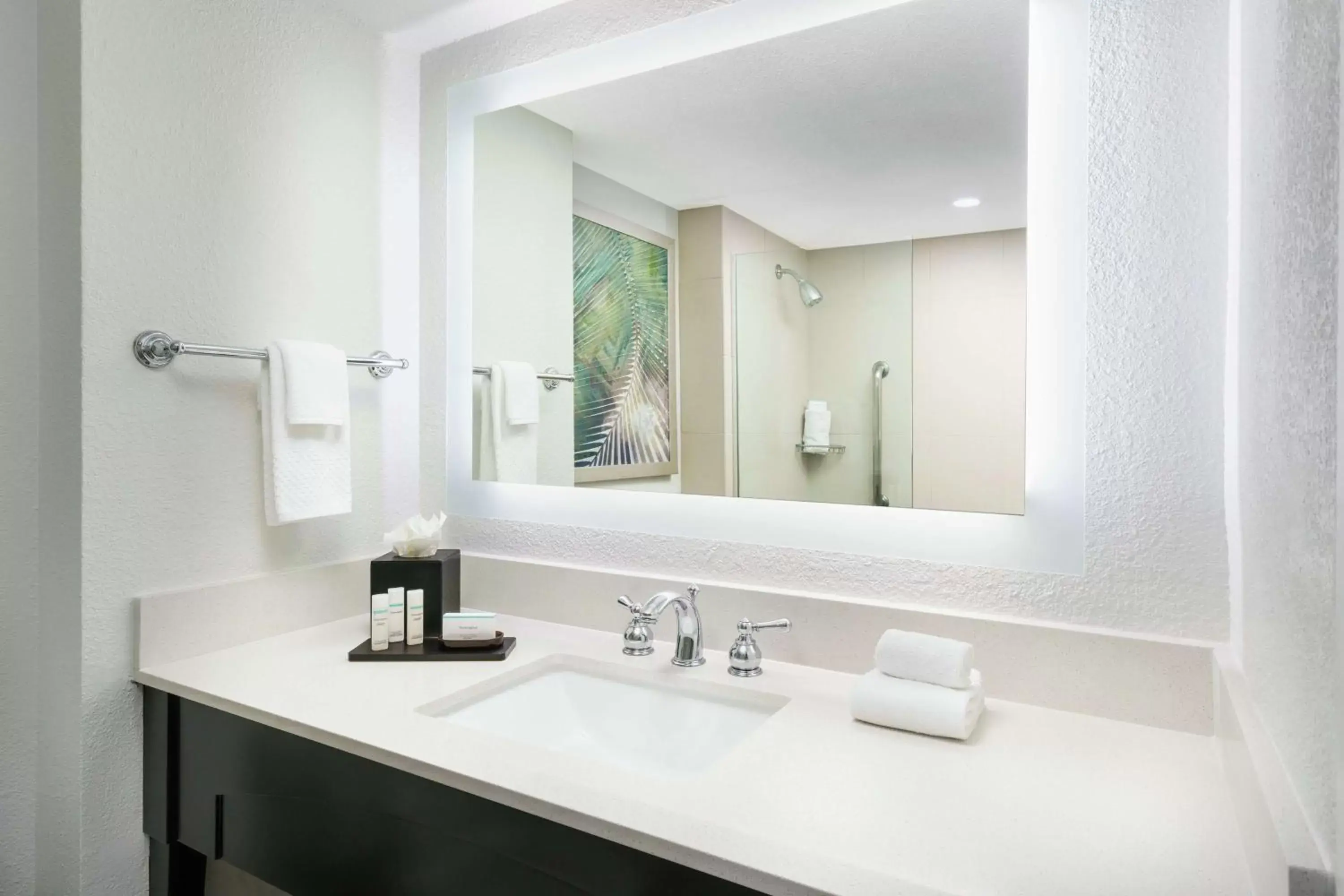 Bathroom in Embassy Suites by Hilton Orlando Lake Buena Vista Resort