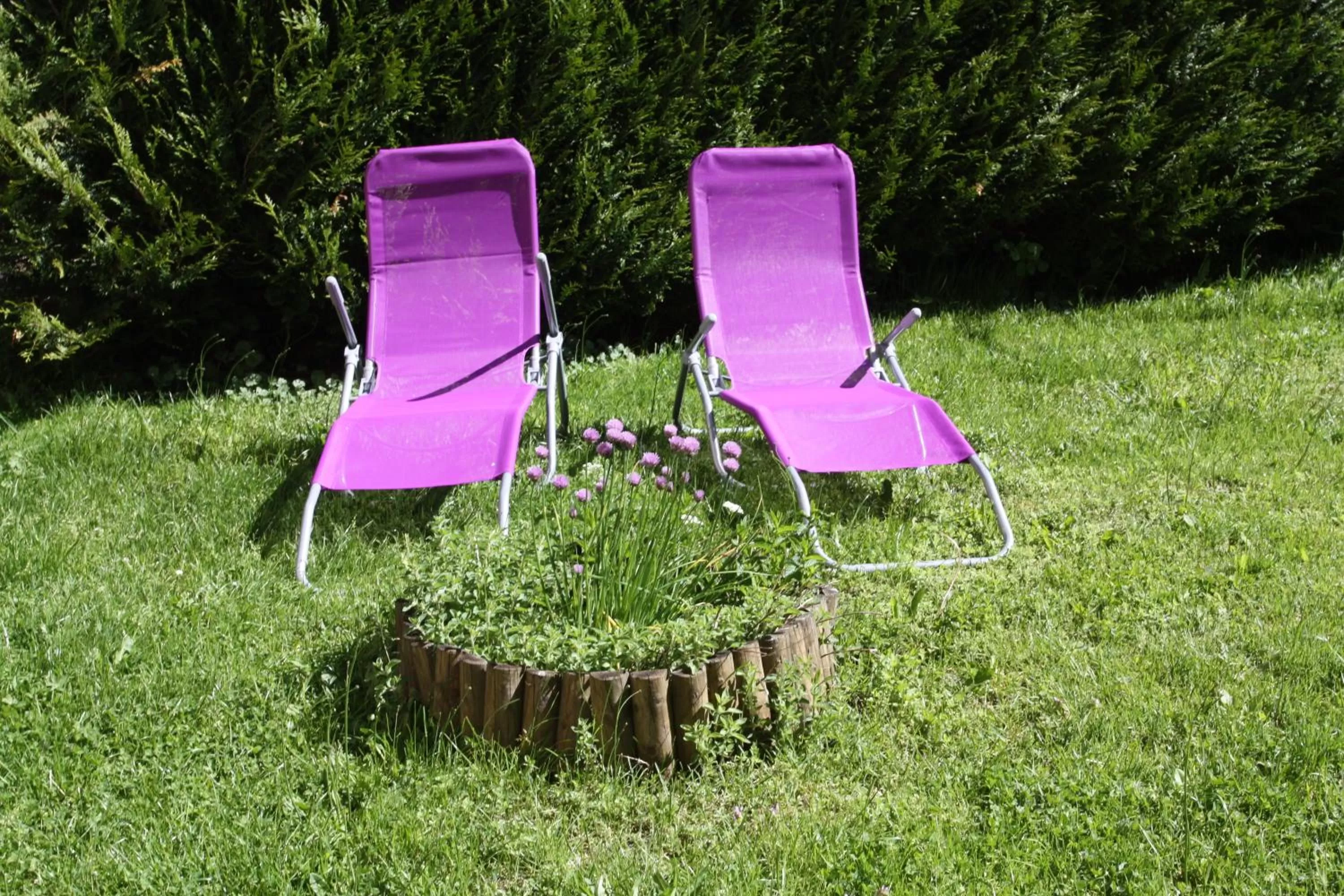 Garden in Hôtel Les Tilleuls de Pareloup à Salles-Curan