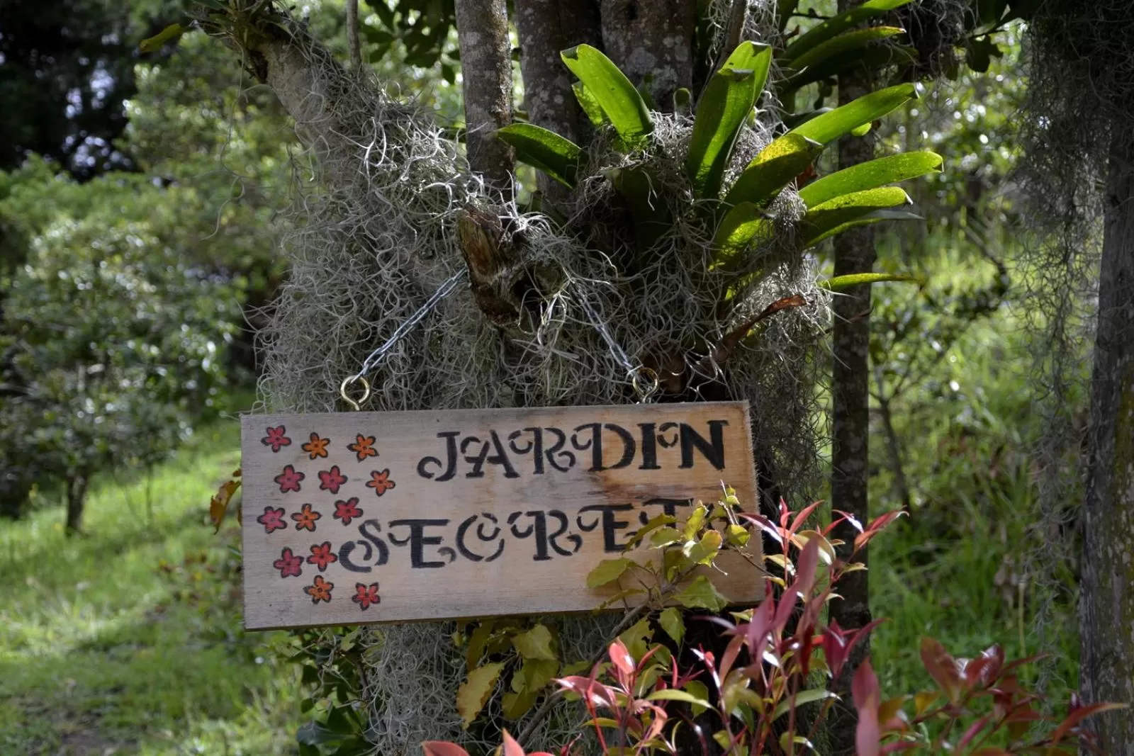 Garden in El Pedregal Sopó