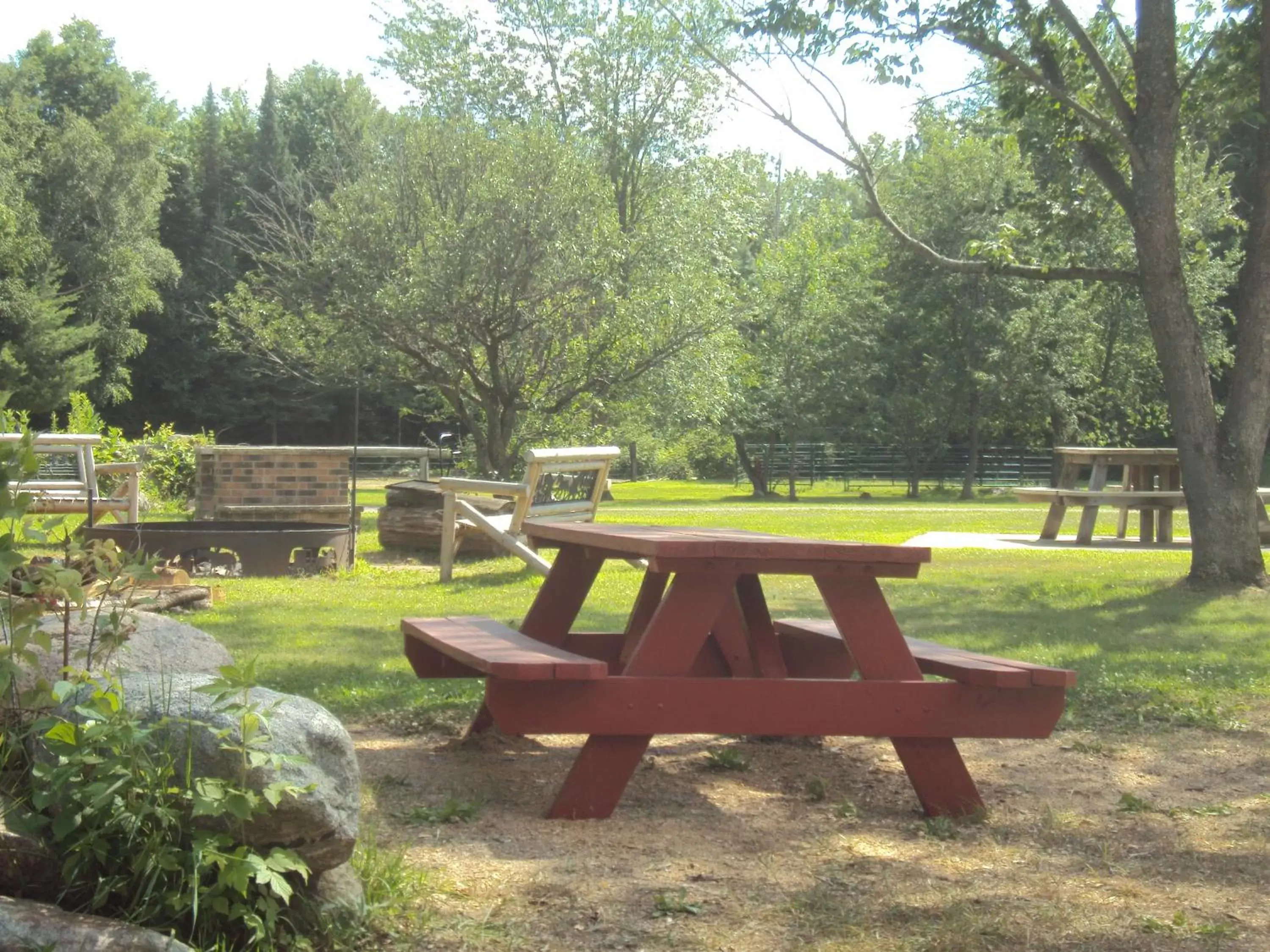 Garden in Spur of the Moment Ranch