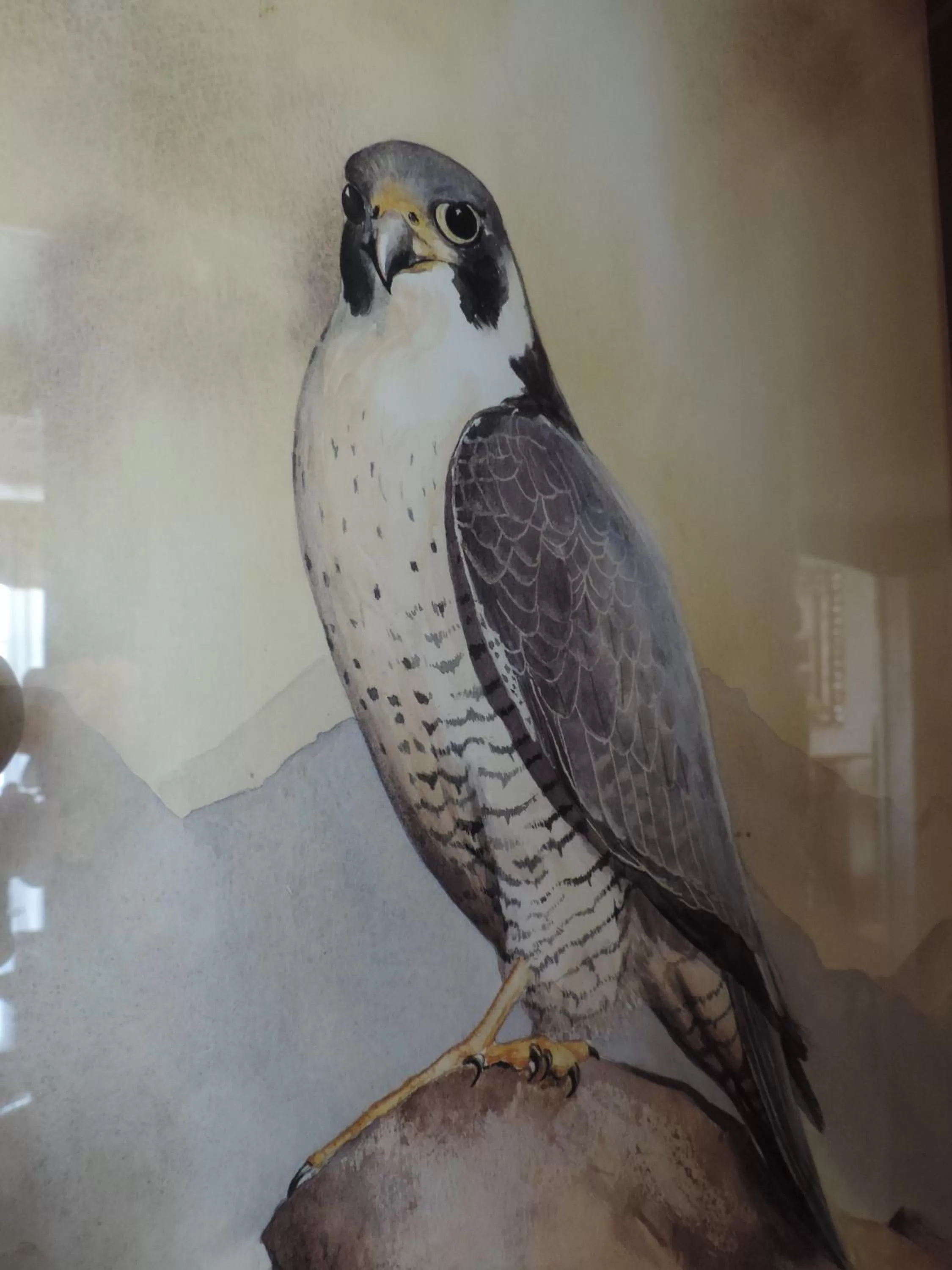 Other in Falcon Hotel