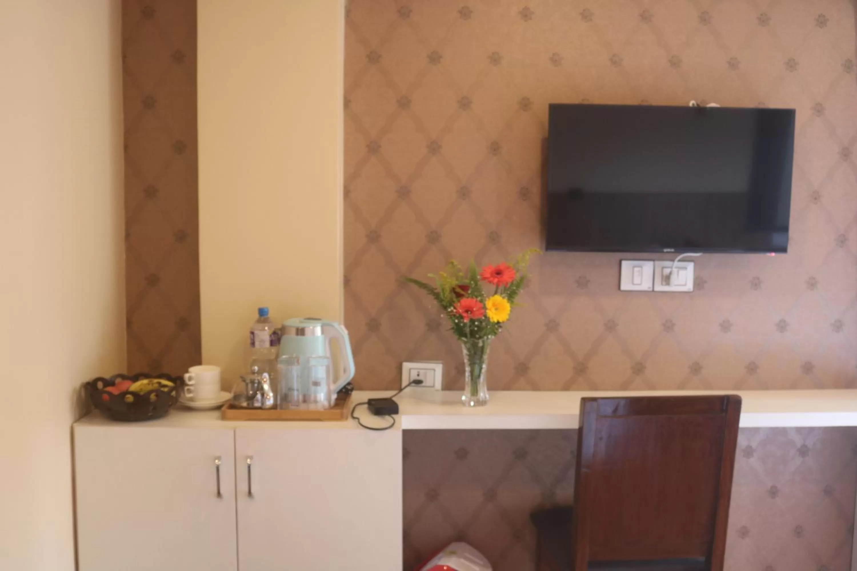 TV and multimedia in Hotel Family Ties Pvt. Ltd.