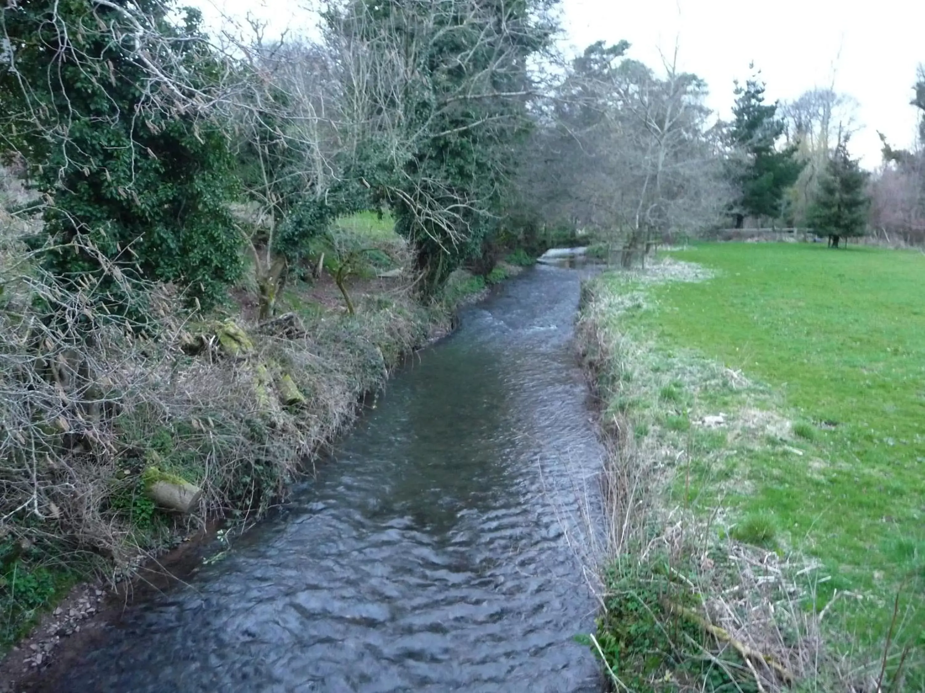 Natural landscape in Brambles Bed and Breakfast