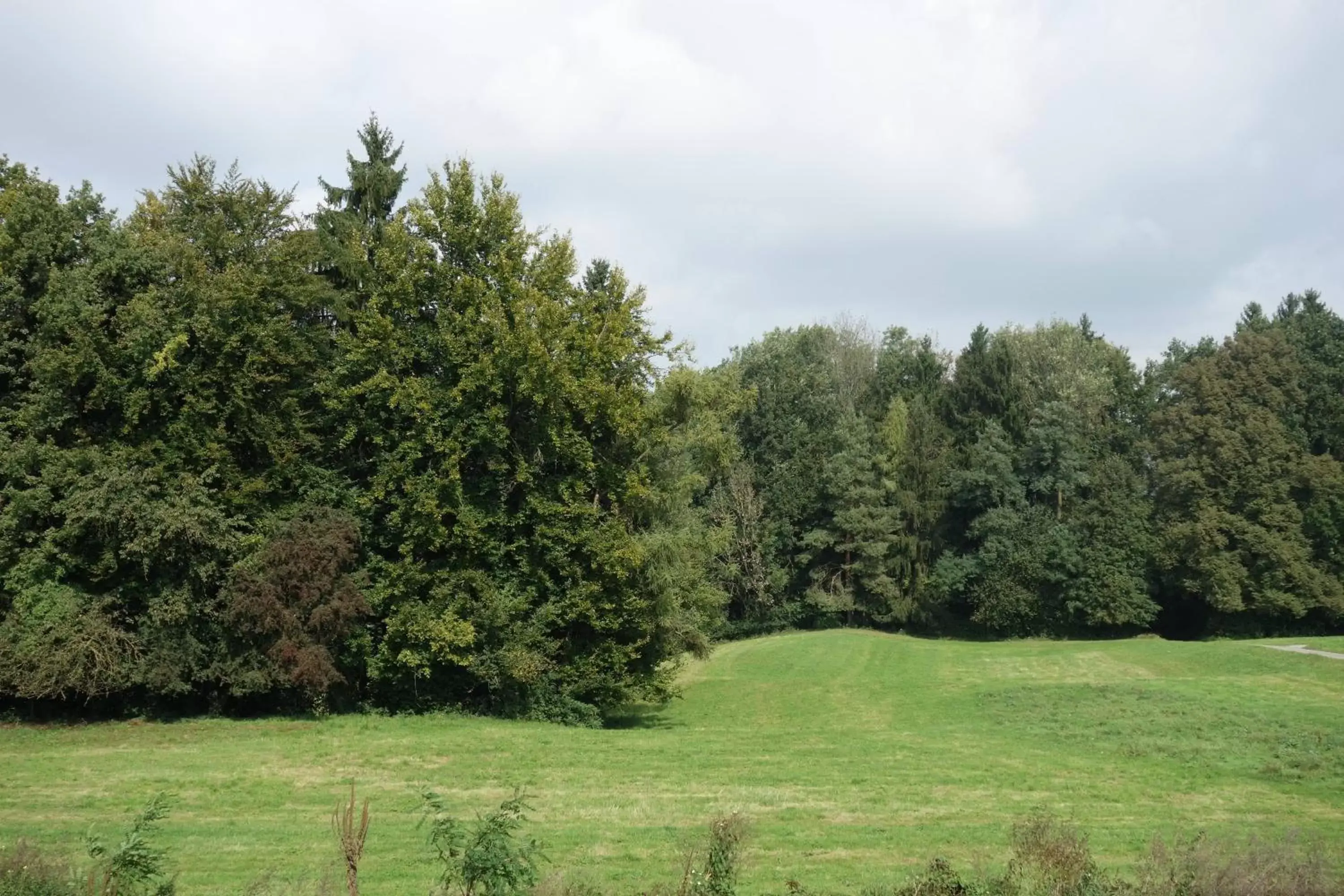 View (from property/room), Garden in Hotel Frauenfeld