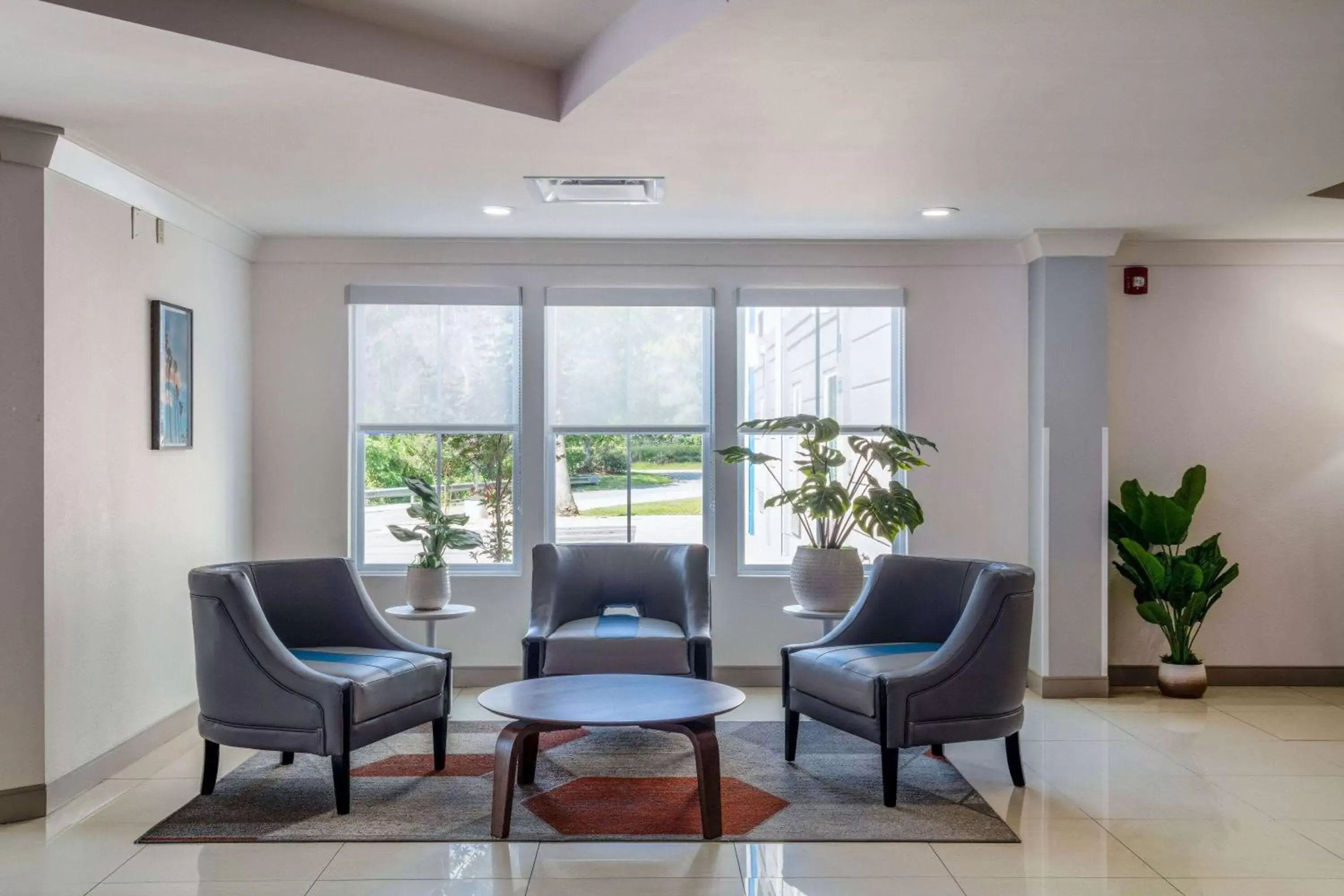 Lobby or reception, Seating Area in TRYP by Wyndham Tallahassee North I-10 Capital Circle