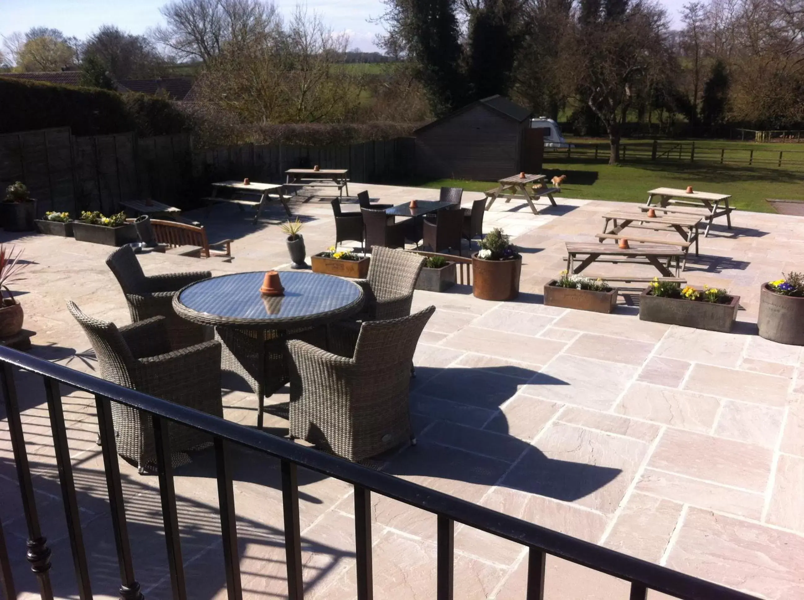 Patio in Old Oak Tree