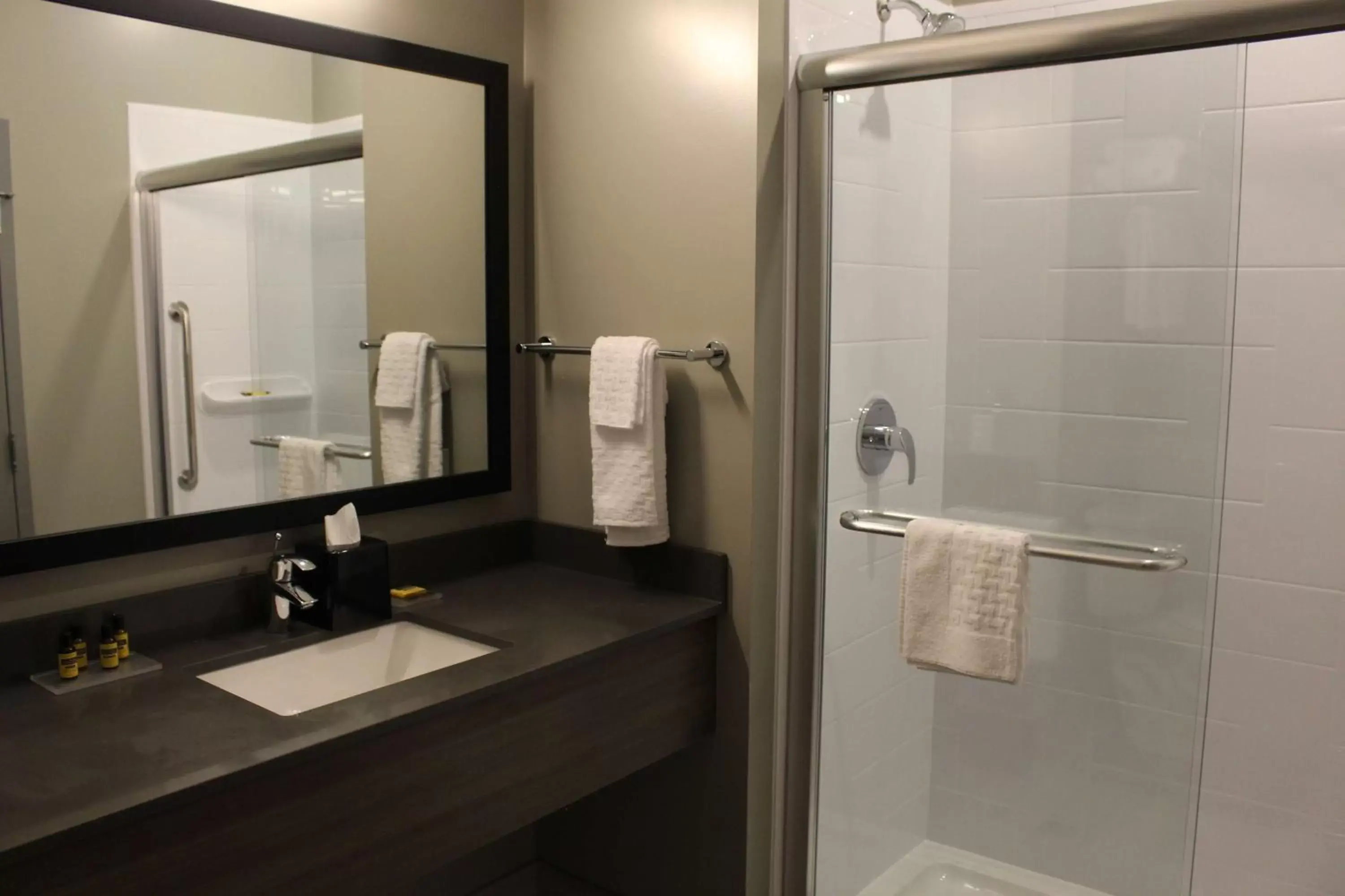 Bathroom in Best Western Plus Dauphin