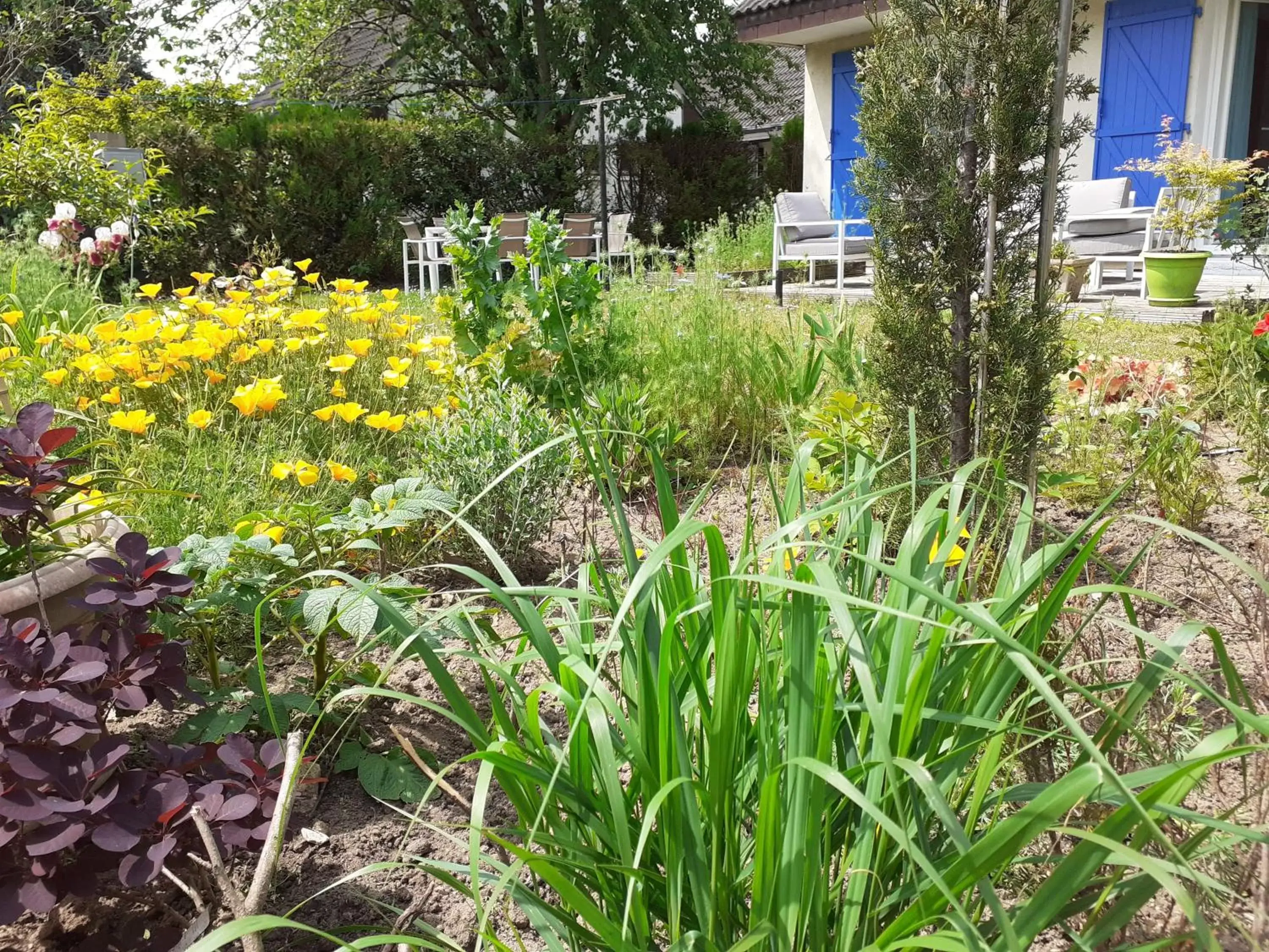 Garden in Les Oiseaux chambre d'hôtes